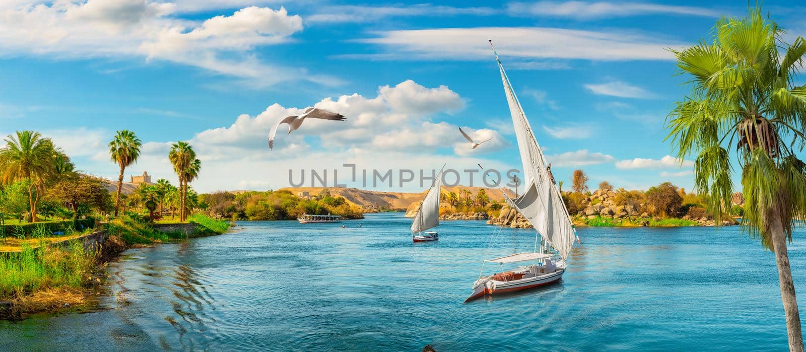 View of the Great Nile in Aswan