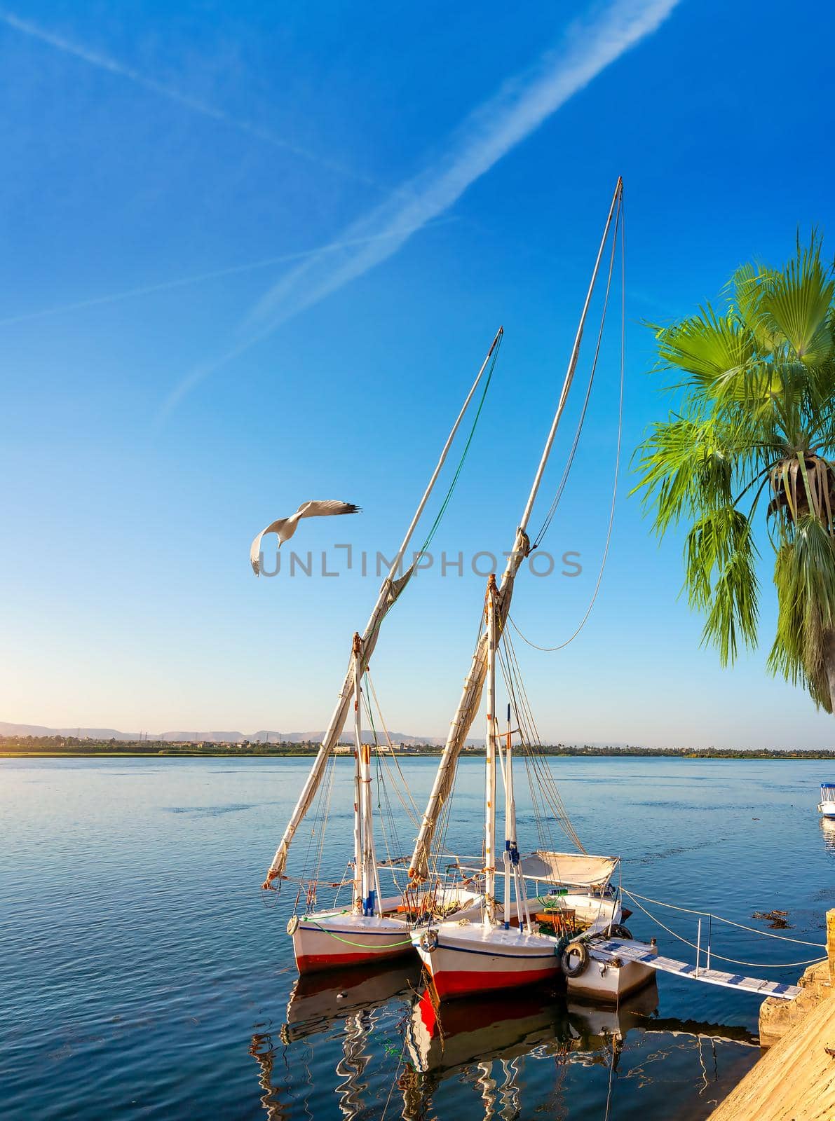 The sailboat in Aswan by Givaga