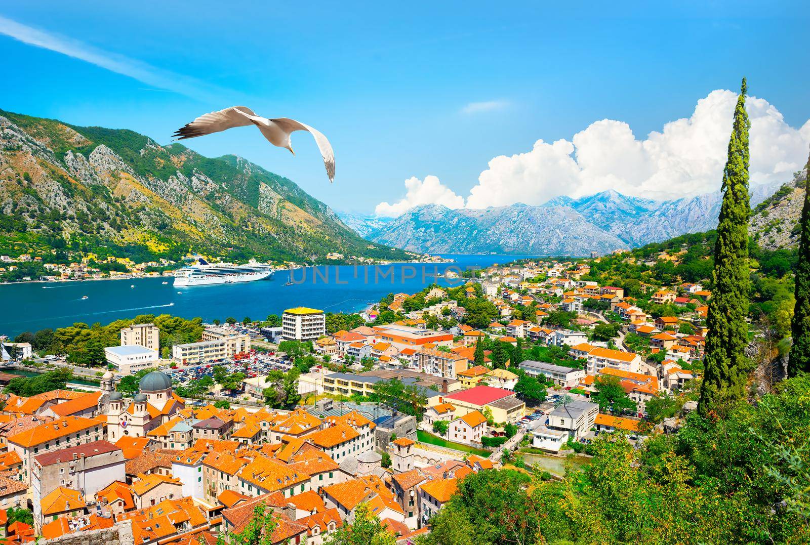 View of the seagull and the bay of Kotor in Montenegro