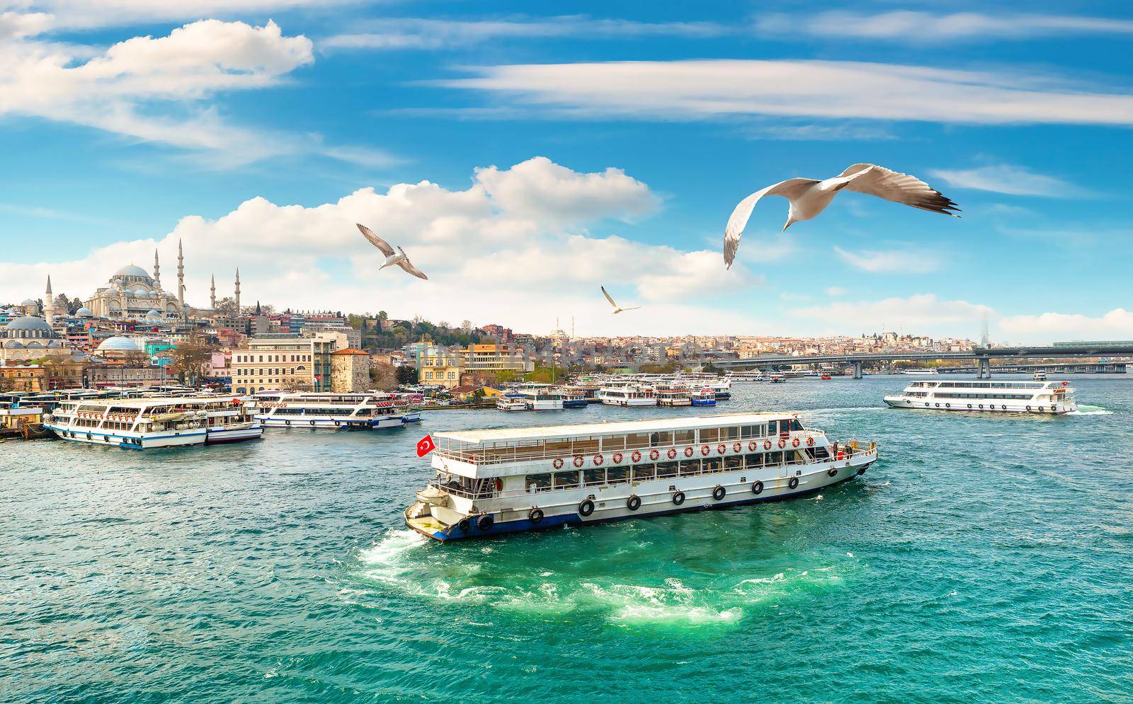 Golden Horn in Istanbul and view of Suleymaniye Mosque