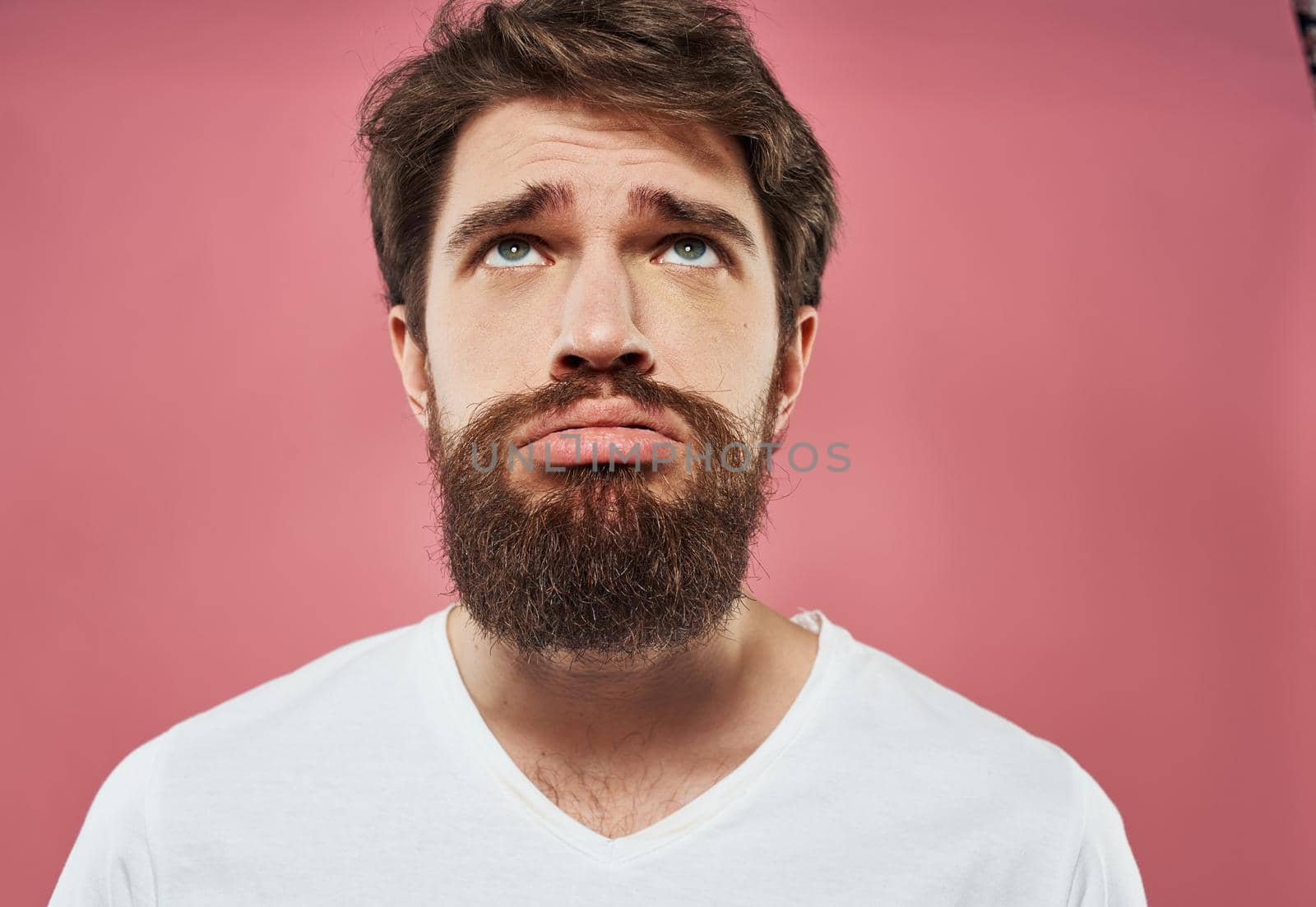 Upset car on a pink background portrait close-up puzzled look. High quality photo