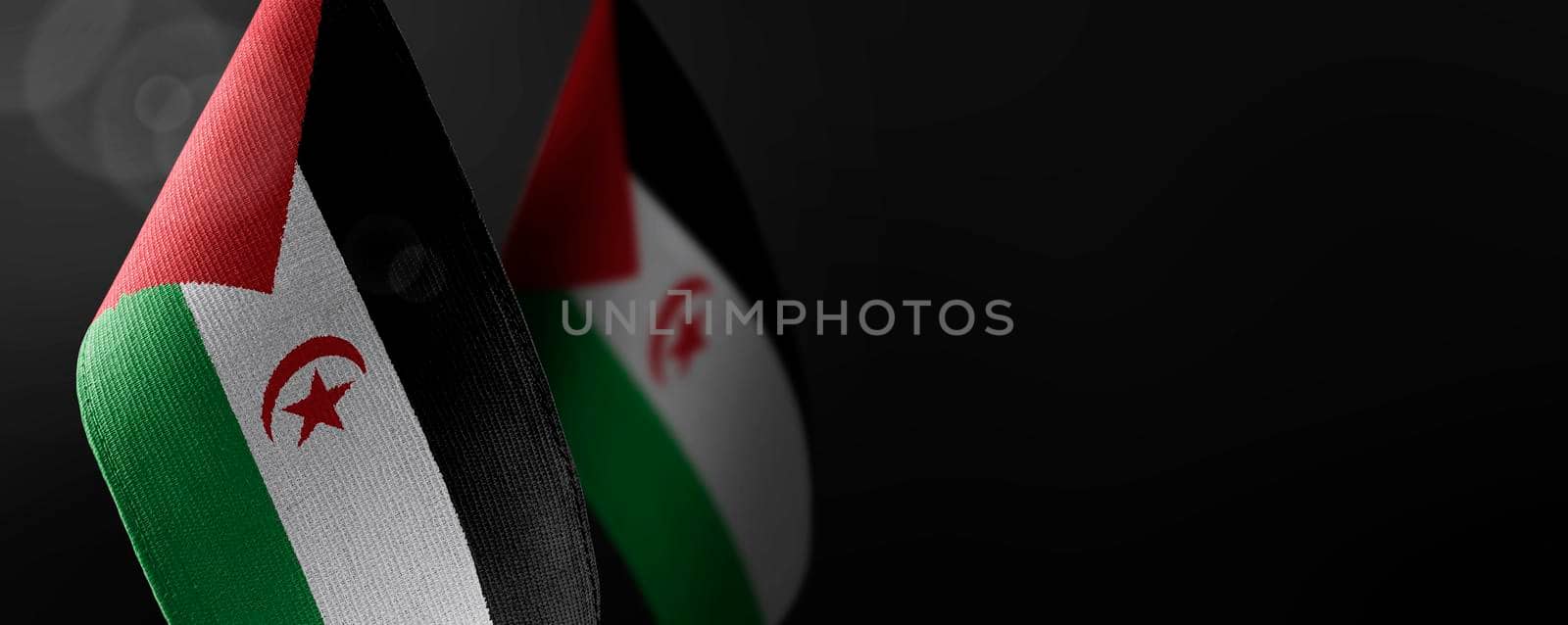 Small national flags of the Sahrawi on a dark background by butenkow