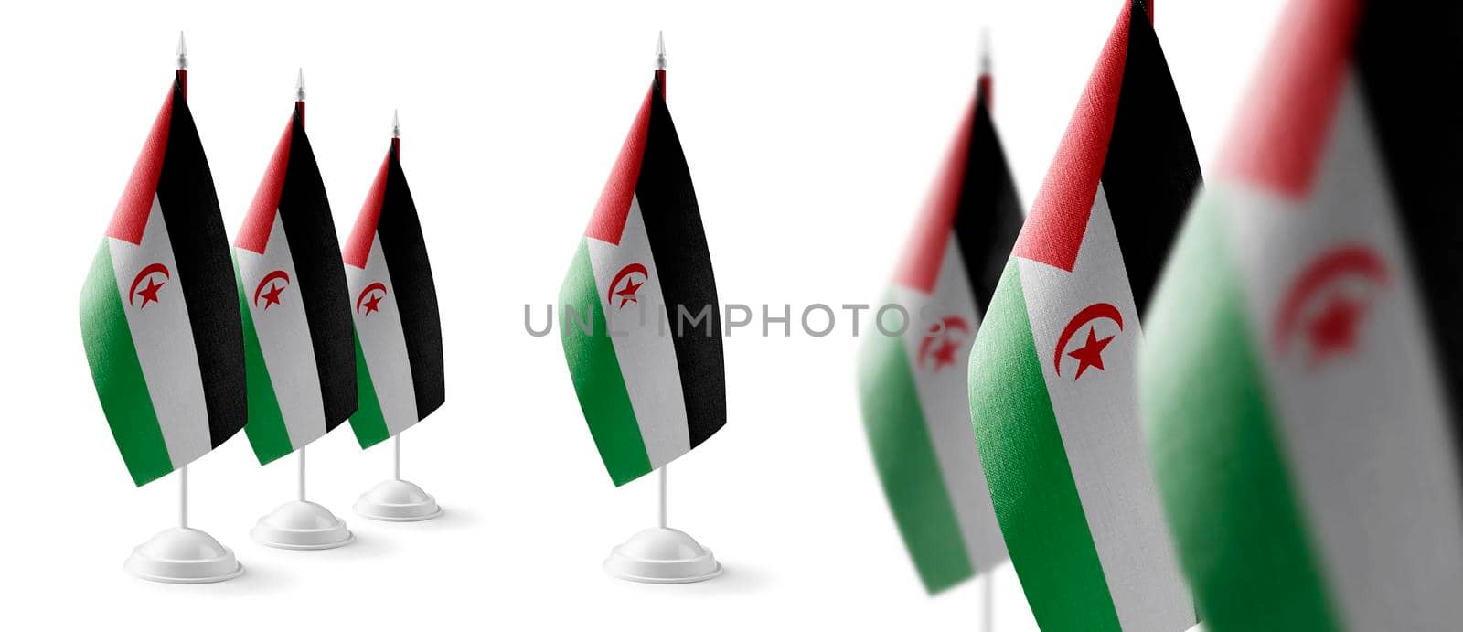 Set of Sahrawi national flags on a white background by butenkow