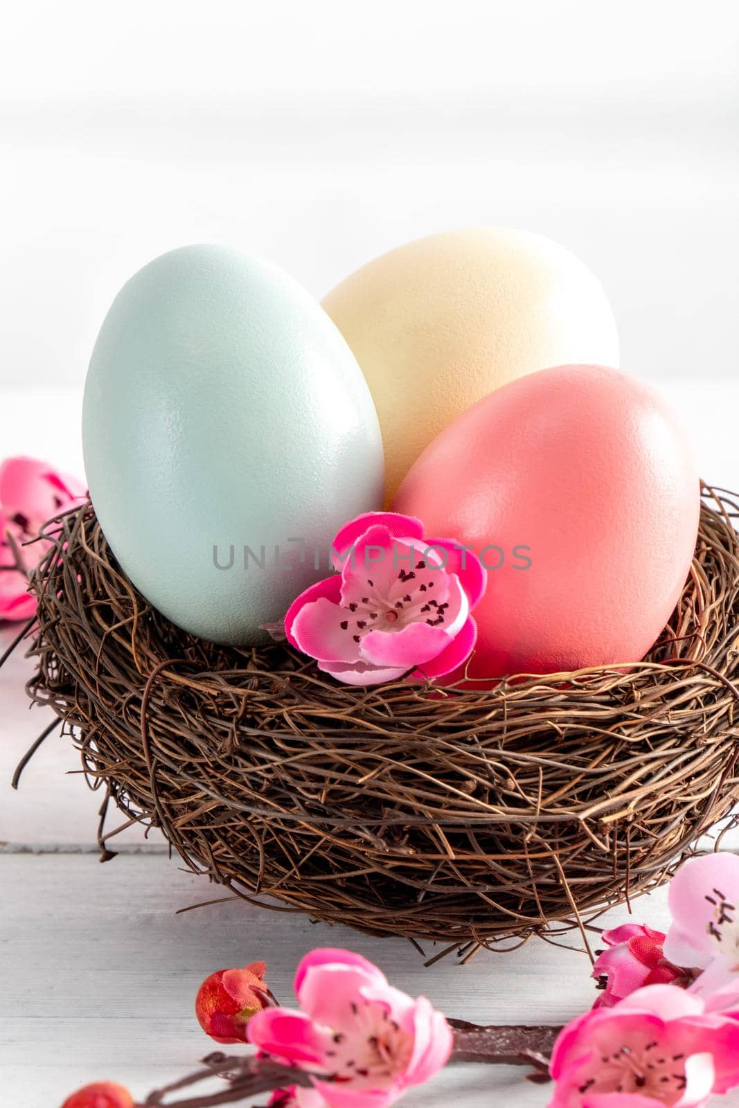 Close up of colorful Easter eggs in the nest with pink plum flower on bright white wooden table background.