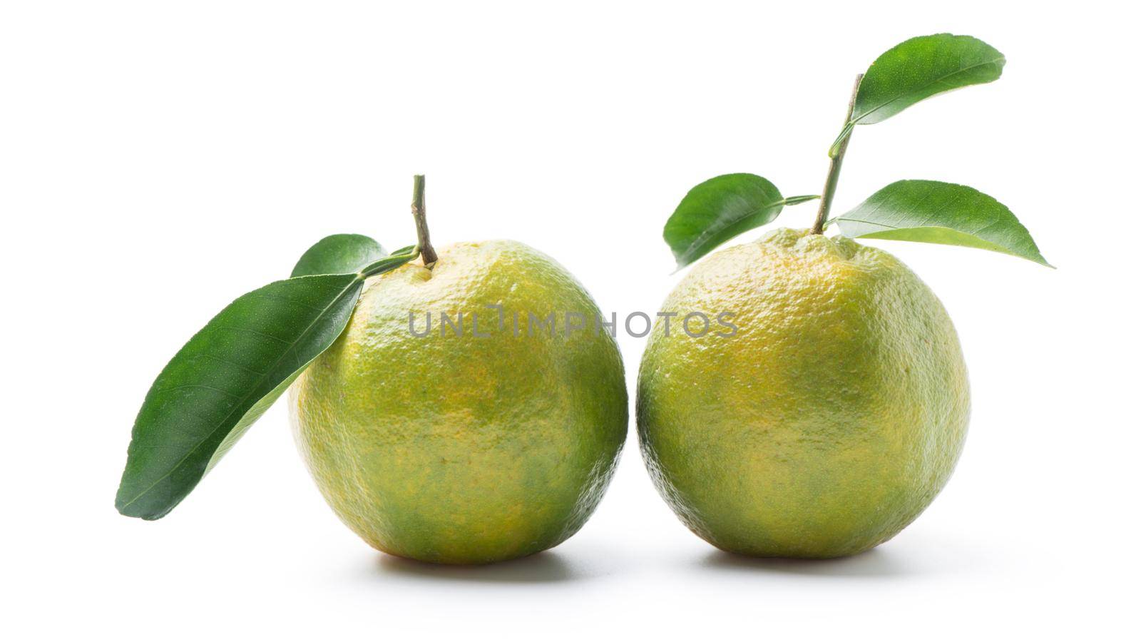 Beautiful immature green tangerine with leaves isolated on white background, clipping path, cut out, close up.