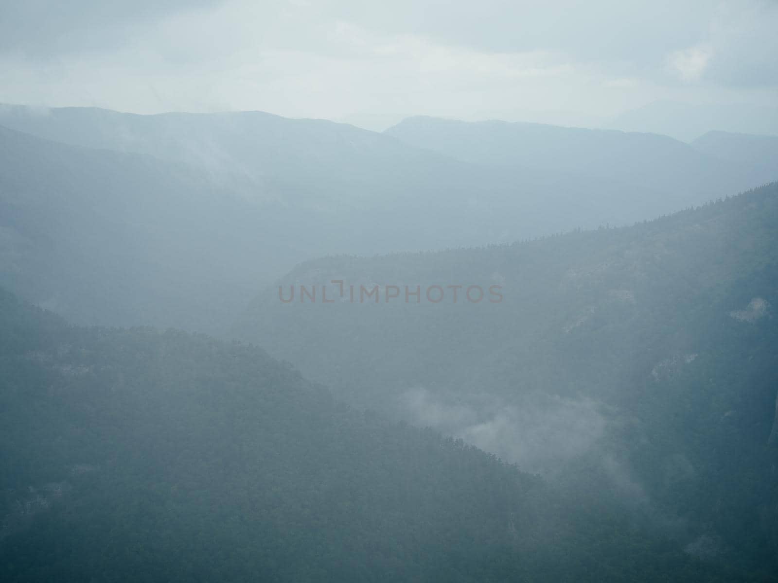 mountains nature fresh air steam fog trees beautiful landscape. High quality photo