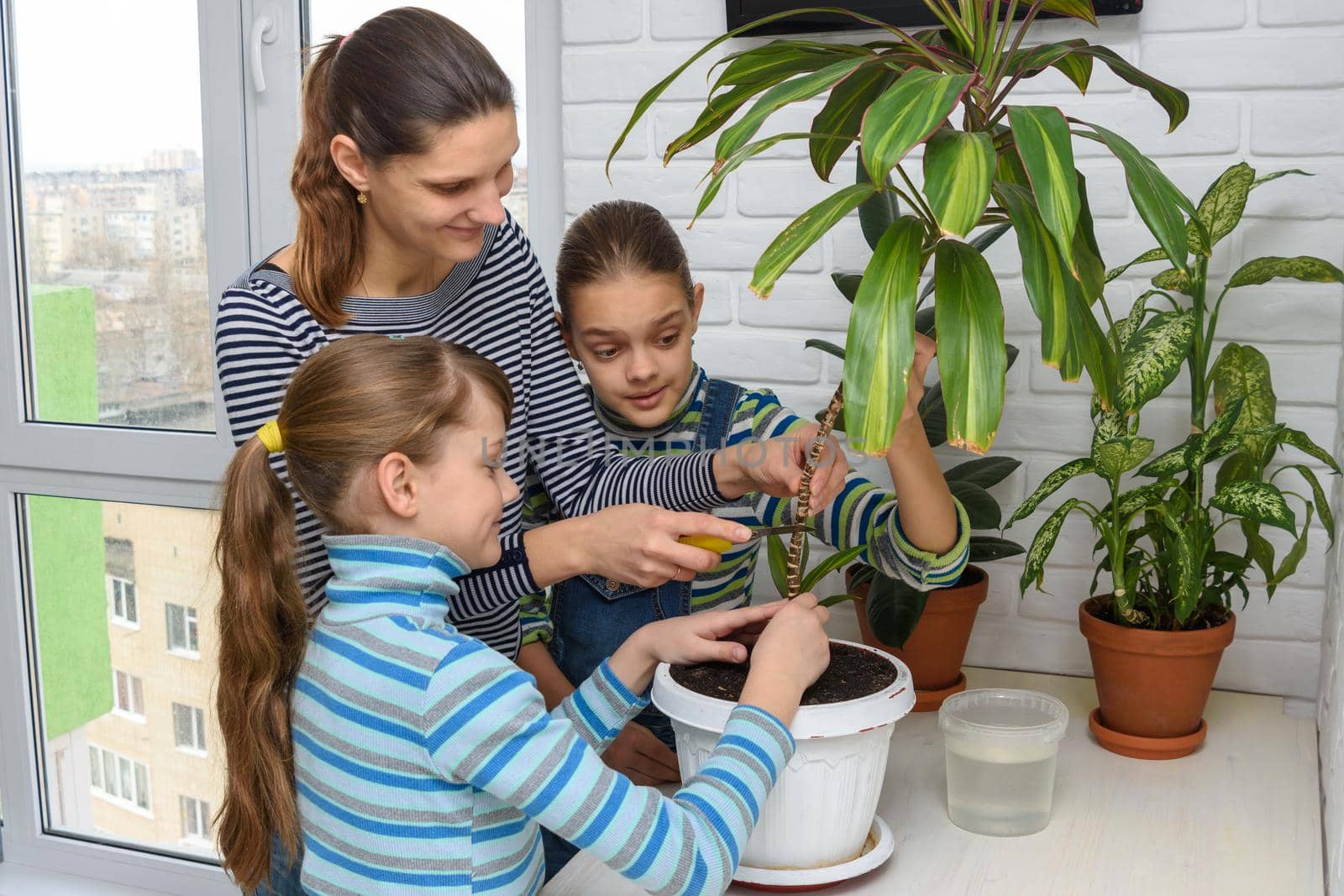 Mom and daughters take care of indoor plants by Madhourse