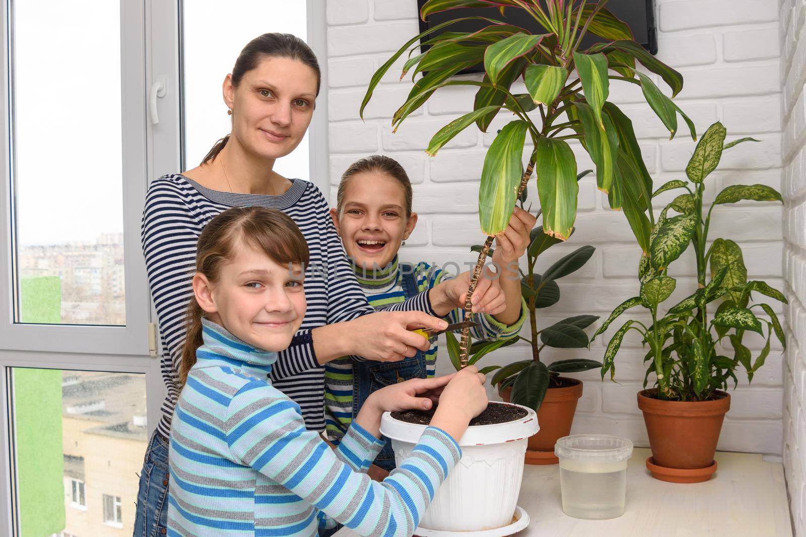 The family transplanted houseplants and joyfully looked into the frame.