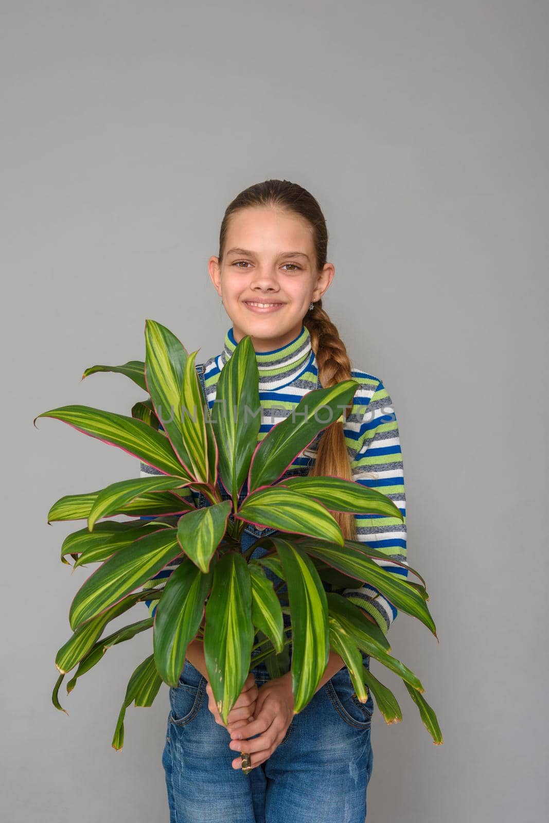A girl holding a flower of a houseplant cordilina in her hands