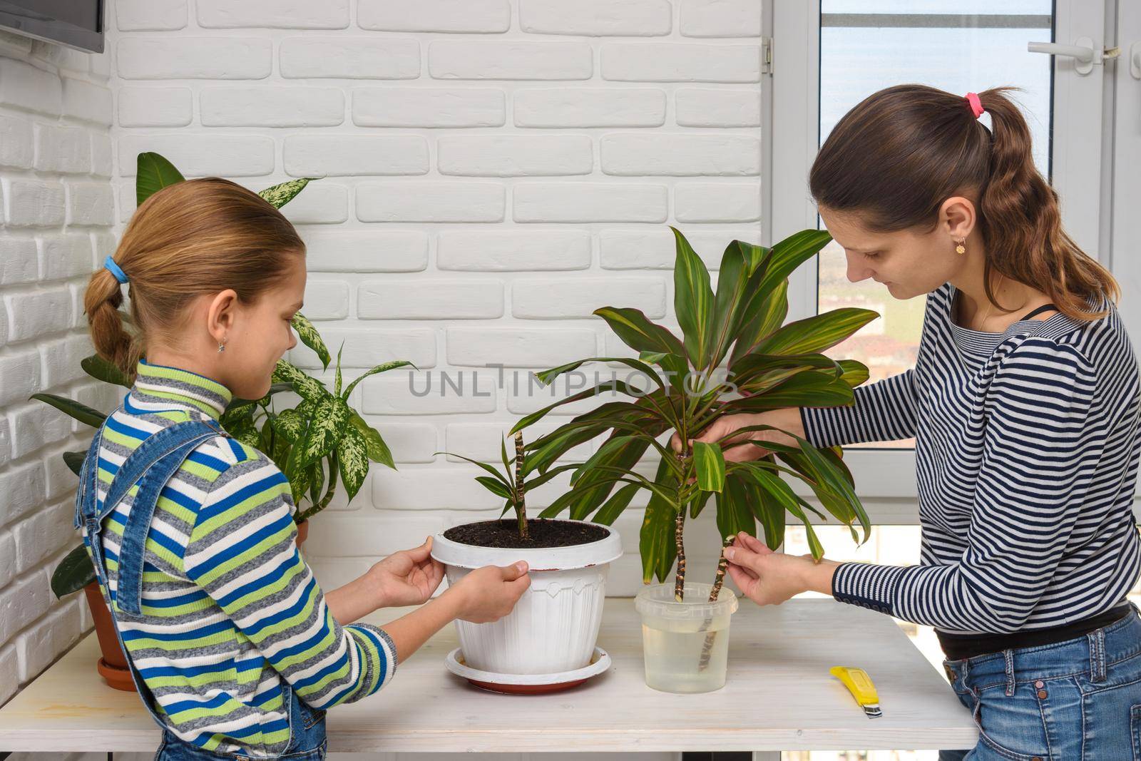 Mom and daughter transplant houseplants by Madhourse