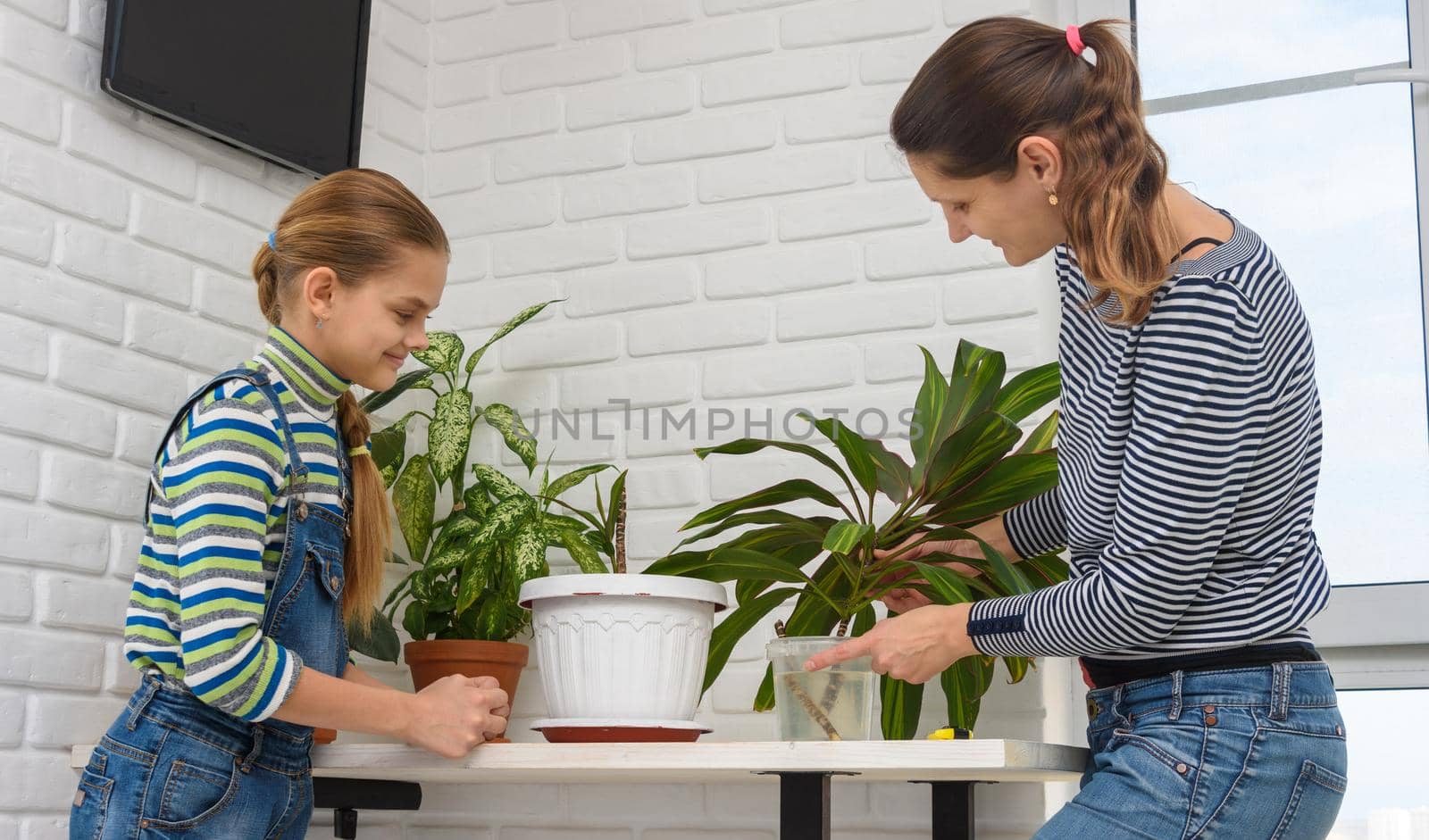 Young mother and daughter take care of houseplants by Madhourse