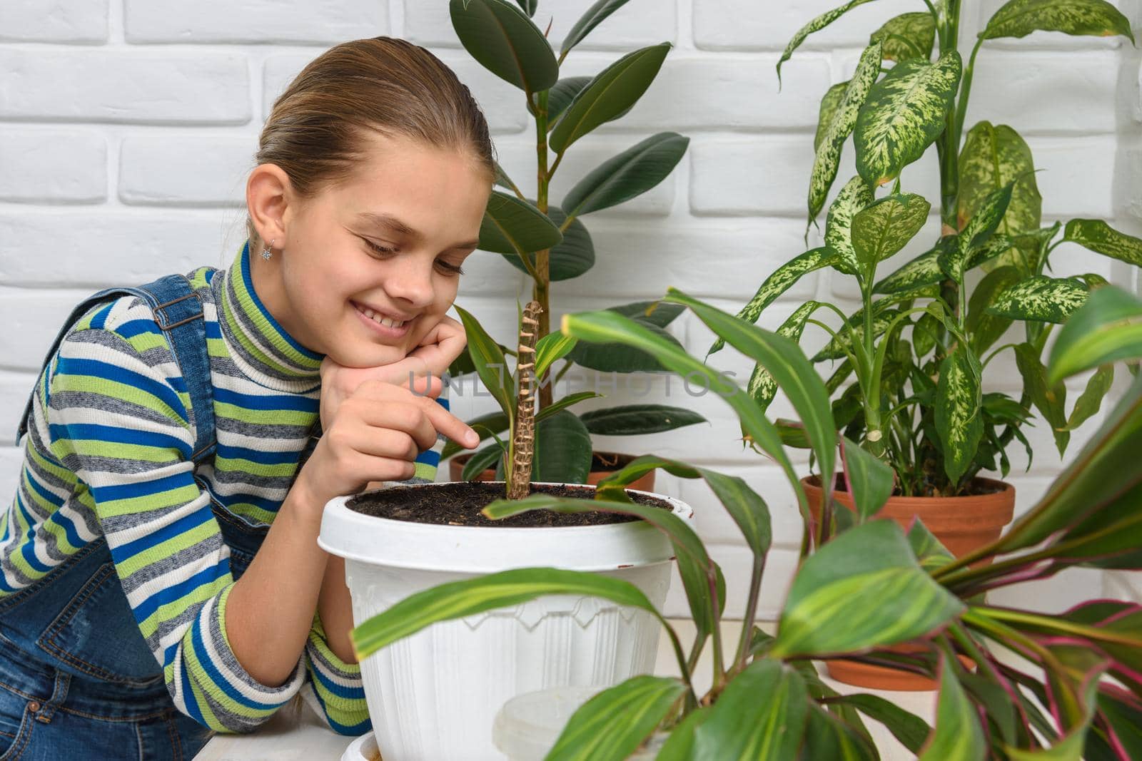 Girl happily examines houseplants