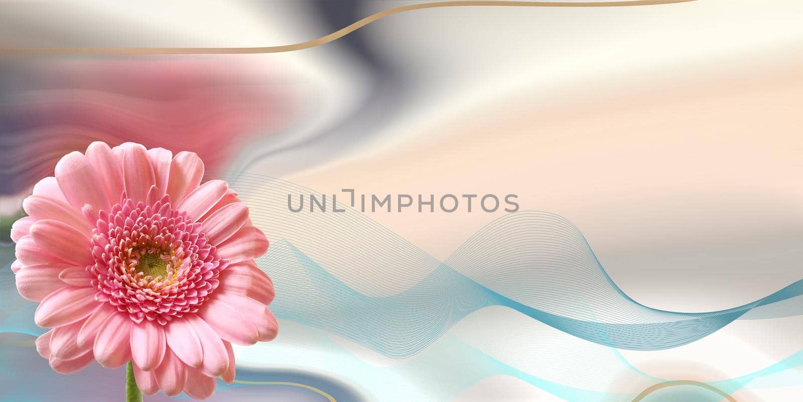 Beautiful pink flowers on pastel abstract background. spring summer gerbera flower in gold frame. Beautiful design for 8th March international Womens day. Mock up. Place for text