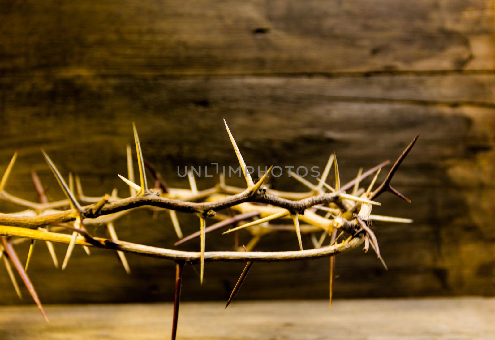 crown of thorns symbol of the christian religion by GabrielaBertolini