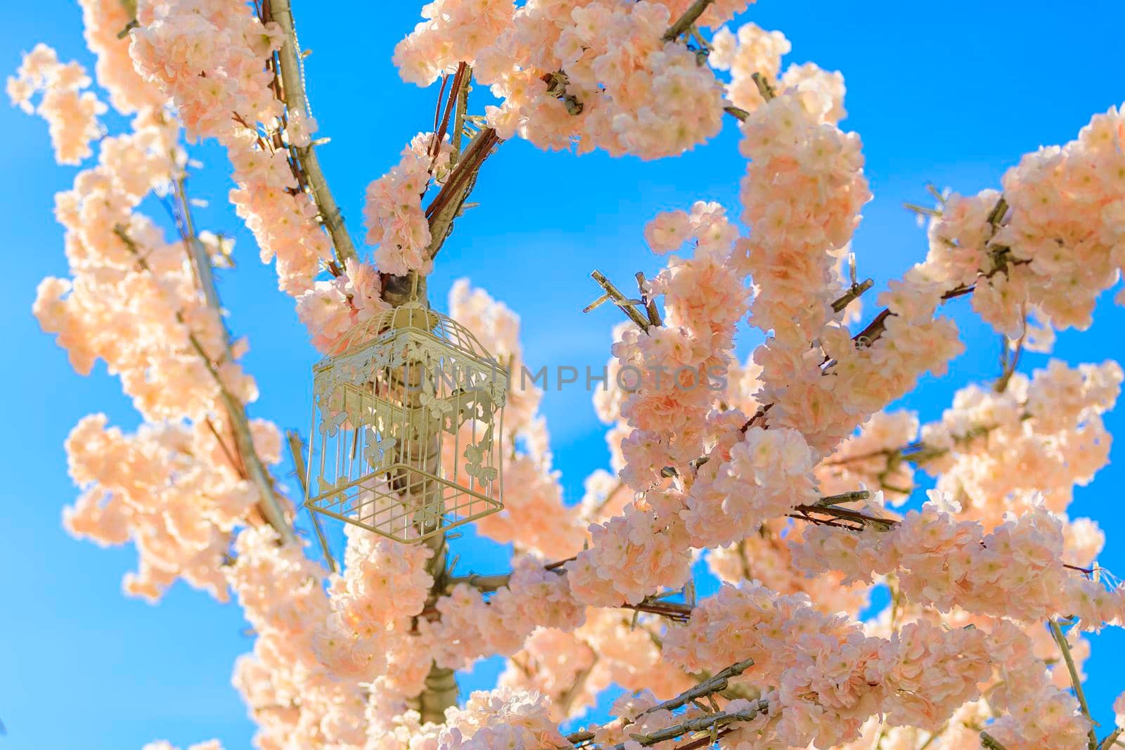 Decoration of blooming cherry flowers. Spring concept. Against the blue sky.