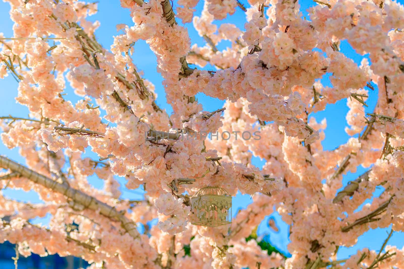 Decoration of blooming cherry flowers. Spring concept. Against the blue sky.
