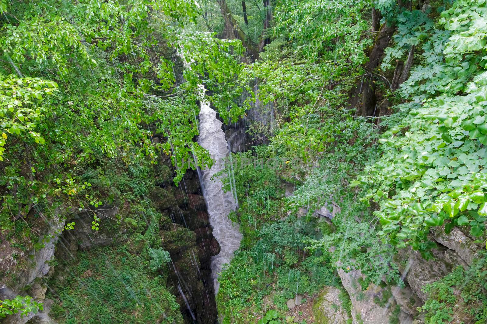 Heavy downpour on the abyss and river among the Caucasus Mountains. Green vegetation and shrubs on sharp rocks.