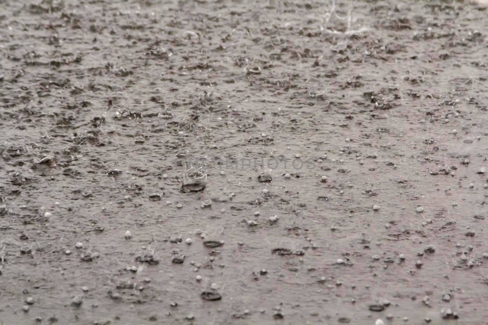 Heavy rain with hail is falling along the highway. Large drops with lumps of snow