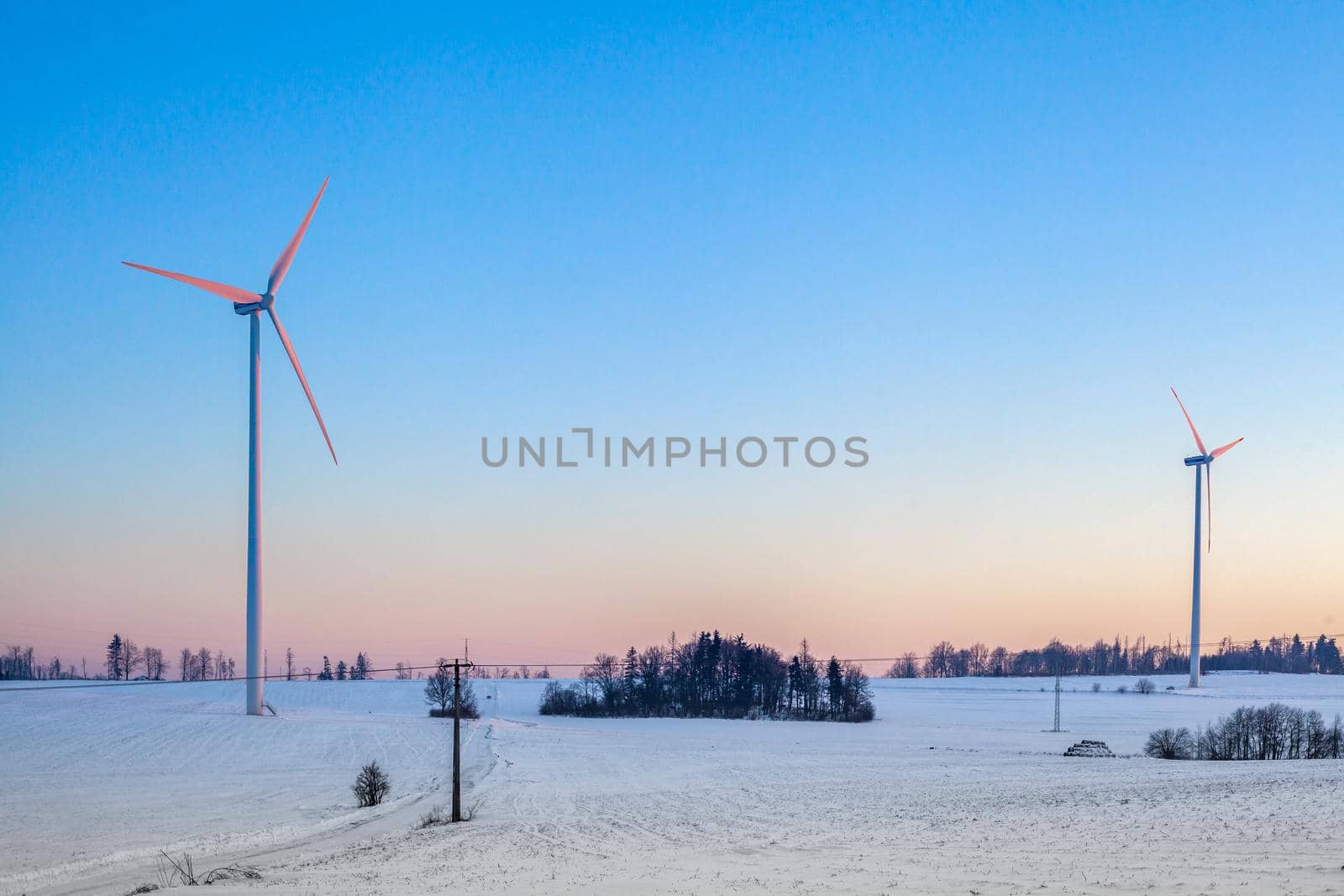 wind power plants in the field at sunrise.