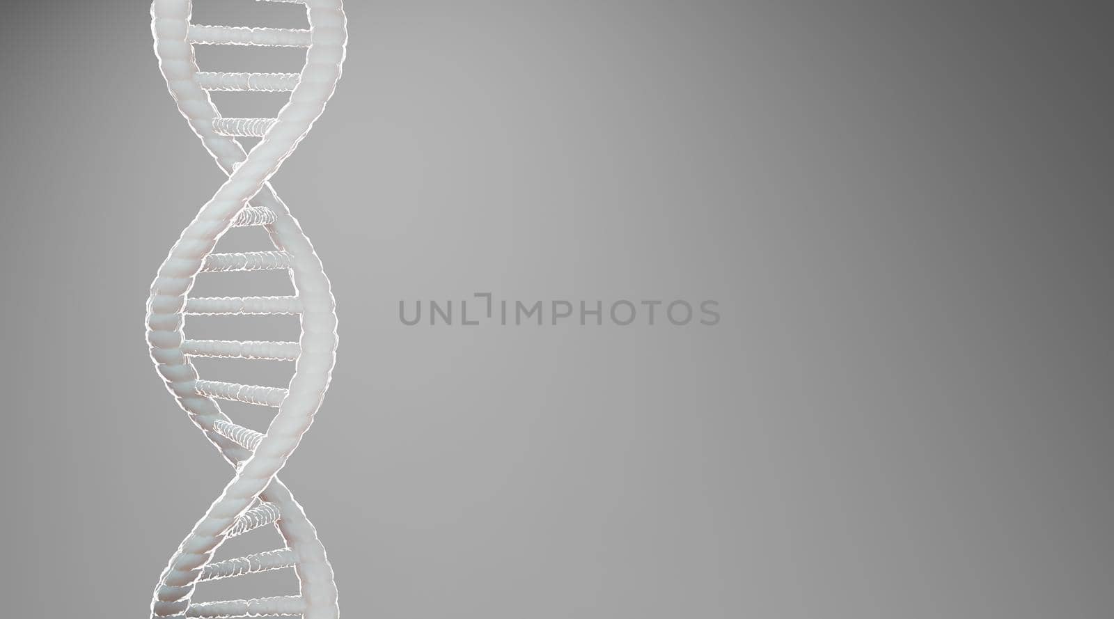 White DNA structure abstract on grey background, 3D rendering.