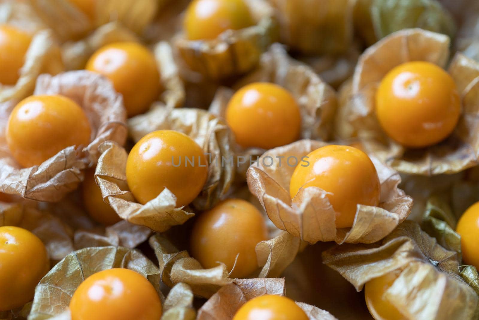 Top view pile of cape gooseberry fruit in the market.