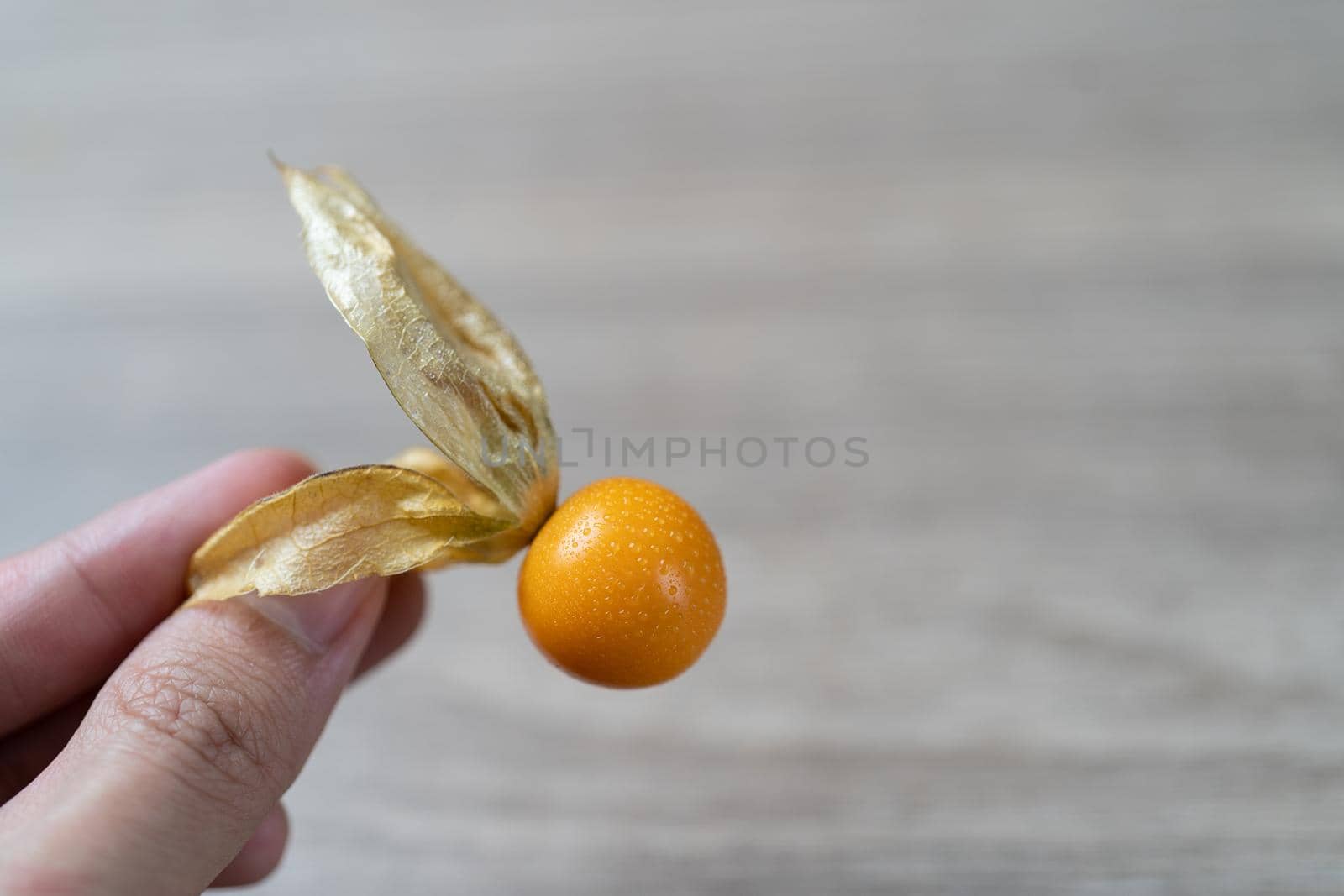 Top view pile of cape gooseberry fruit in the hand. by sirawit99