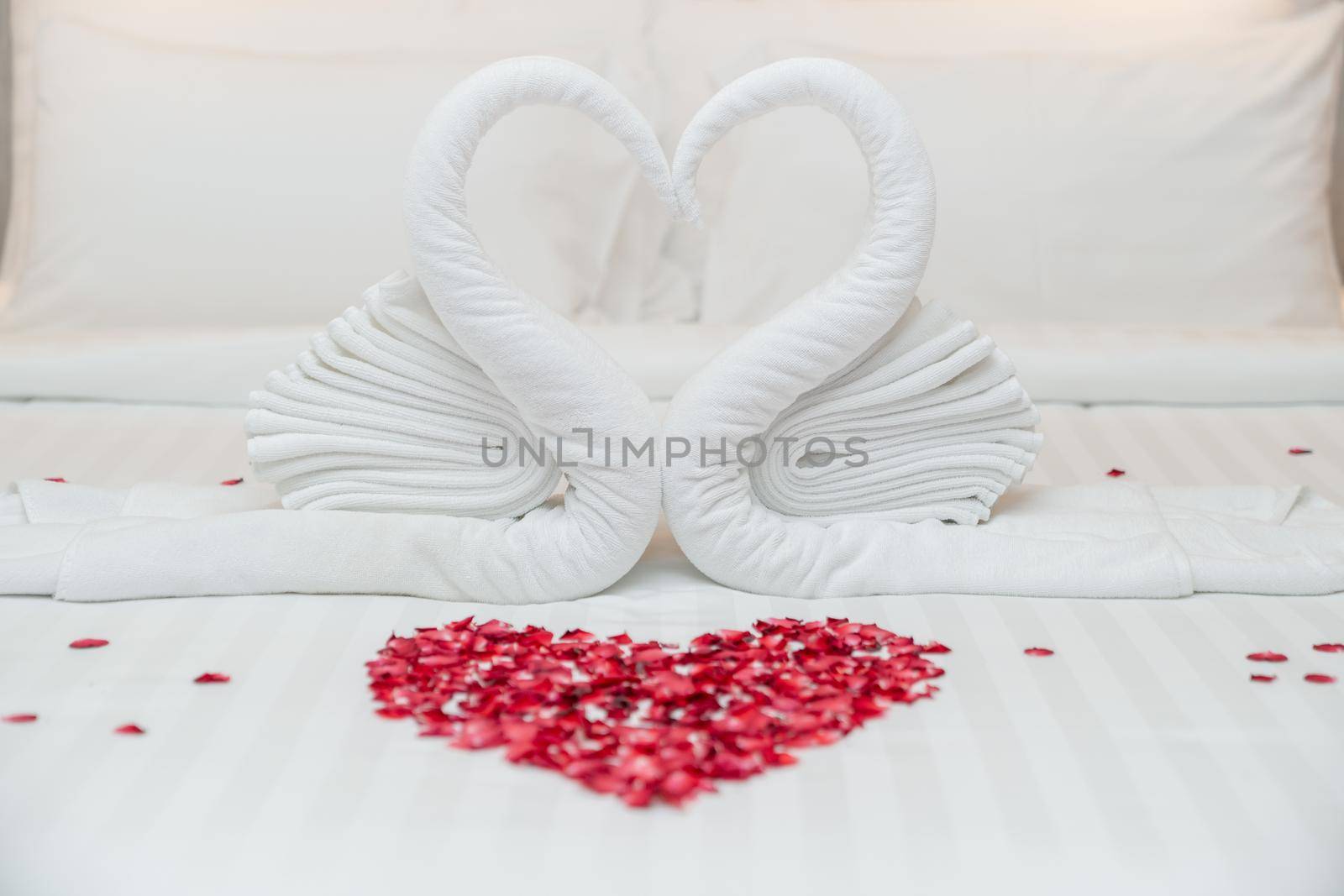 Swan towel on bed and rose petals in heart shape for honeymoon or wedding anniversary, romantic feeling. by sirawit99