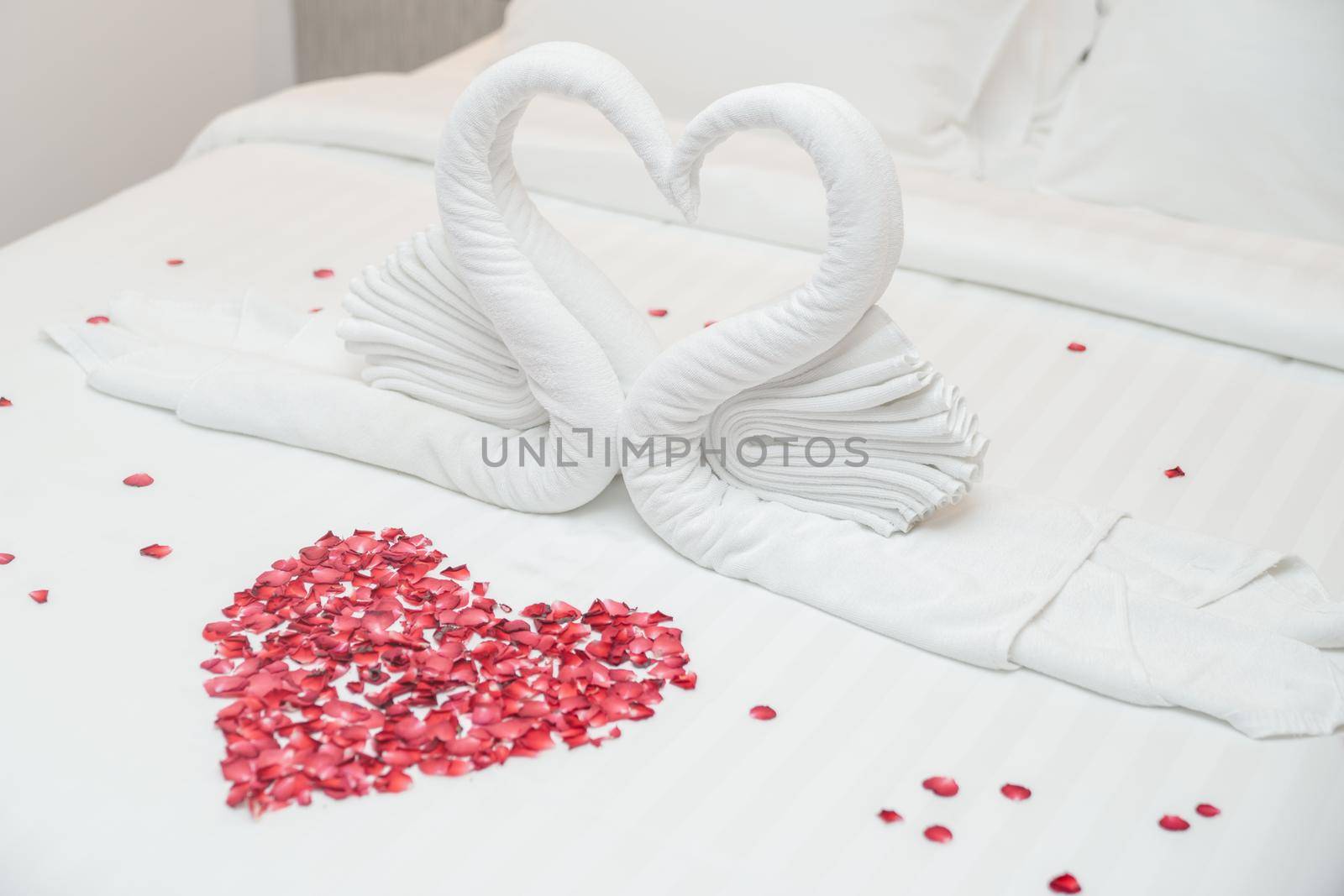 Swan towel on bed and rose petals in heart shape for honeymoon or wedding anniversary, romantic feeling. by sirawit99