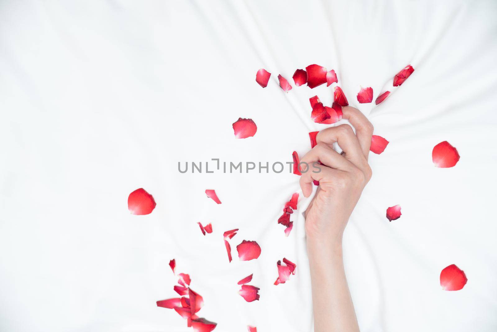 Women hand pulling or grasping white sheets. Hand sign orgasm of woman on white bed sheet with rose petals. by sirawit99