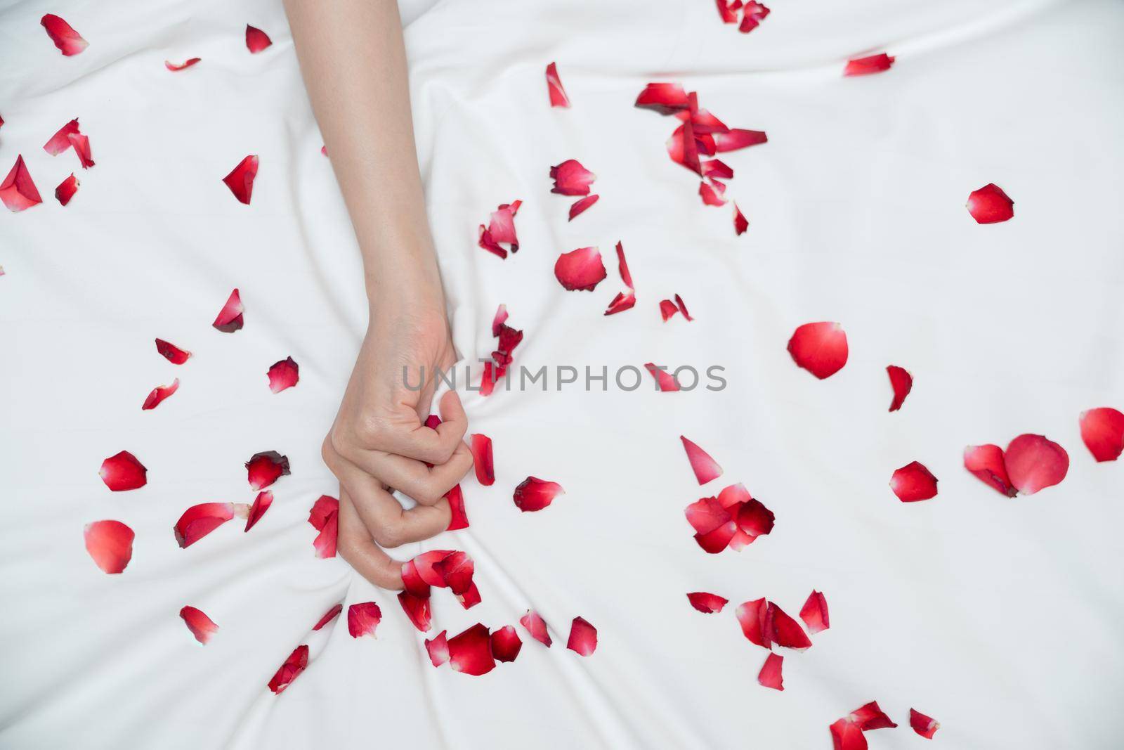 Women hand pulling or grasping white sheets. Hand sign orgasm of woman on white bed sheet with rose petals. by sirawit99