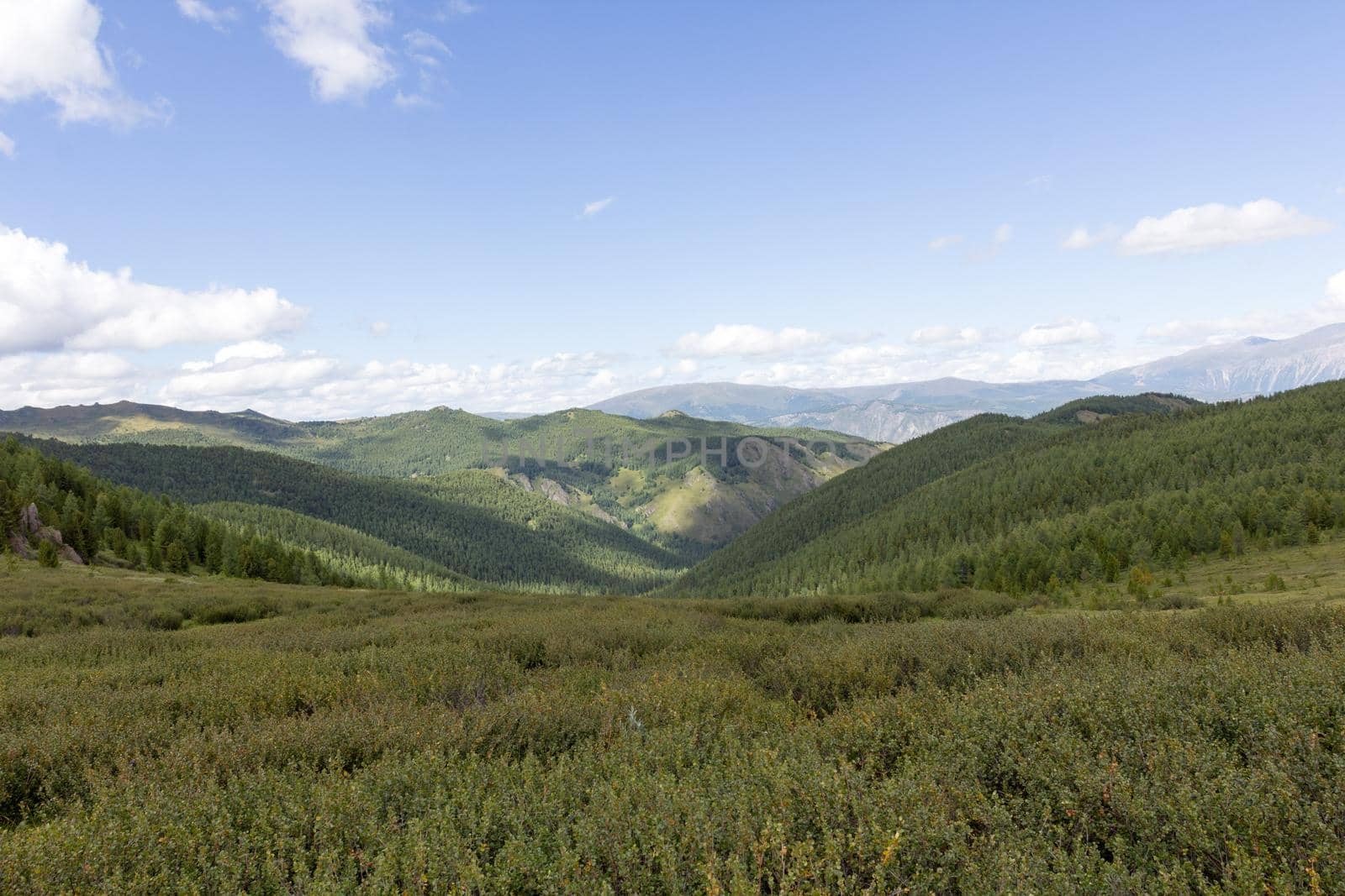 Green mountain valley and sky, travel. On the Oroy pass. Mountain Altai. Siberia. Russia.