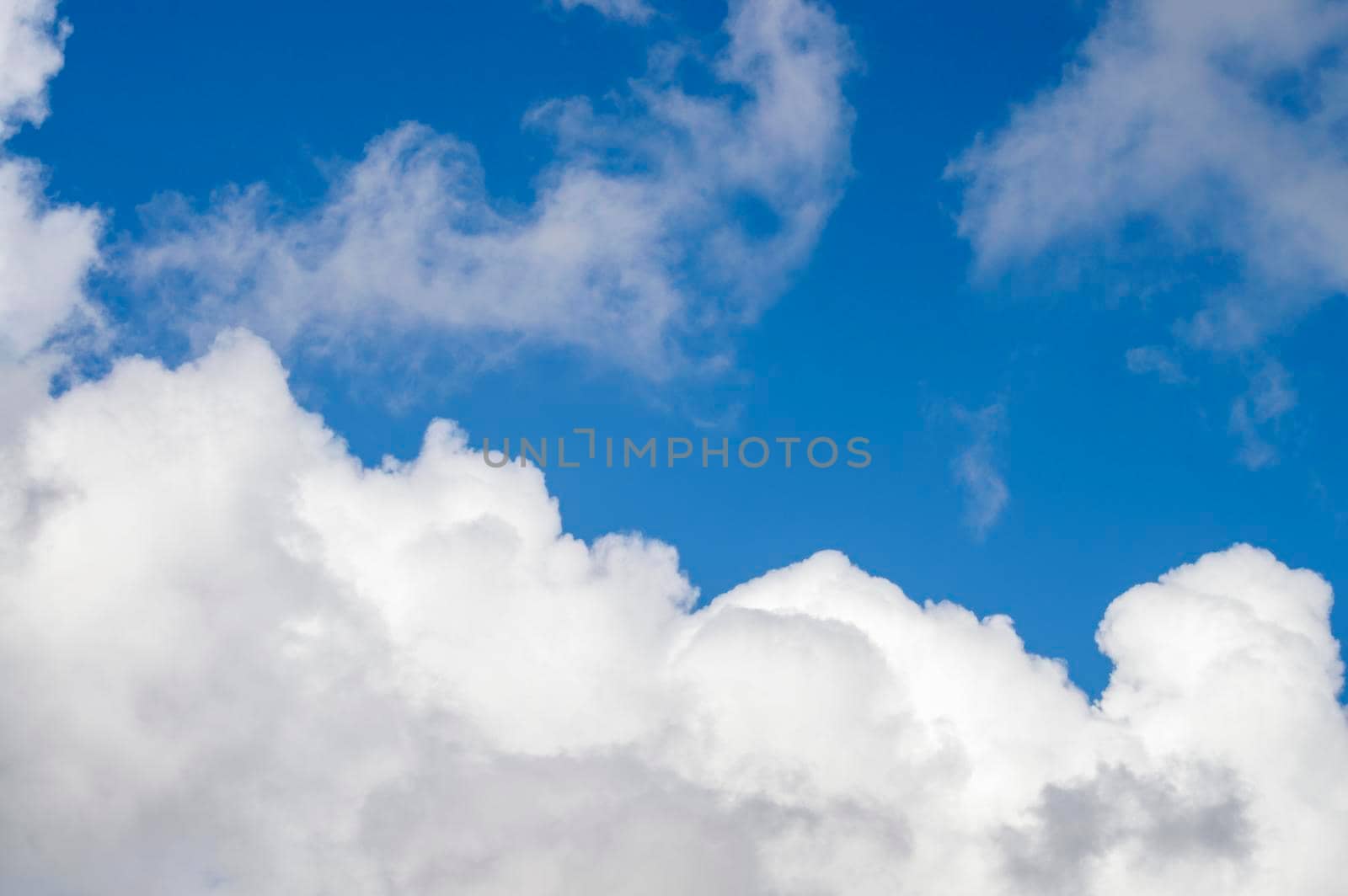 View from below on a good autumn day.