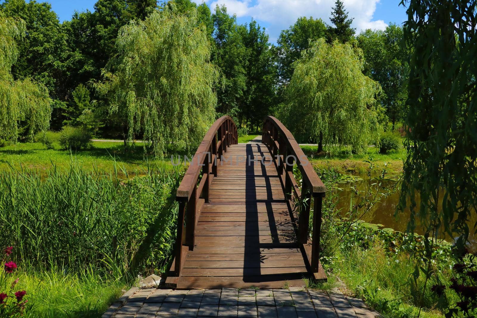 A beautiful wooden walkway across the lake