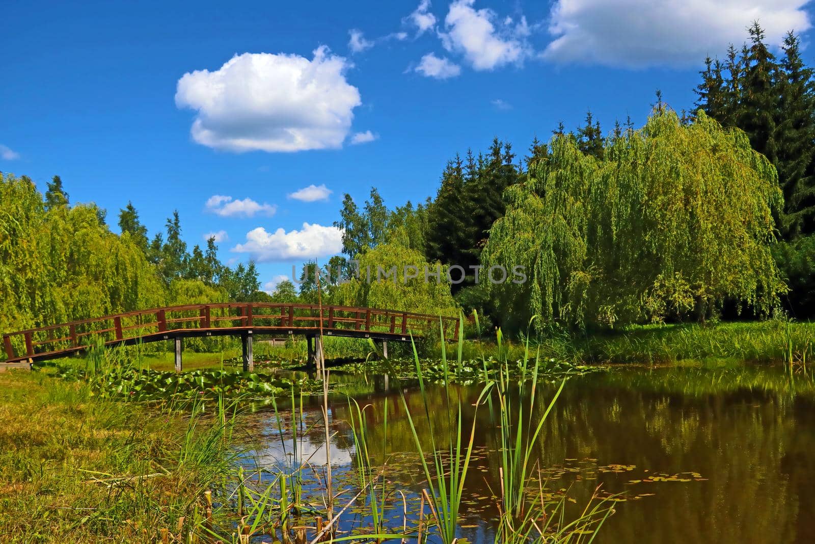A beautiful wooden walkway across the lake