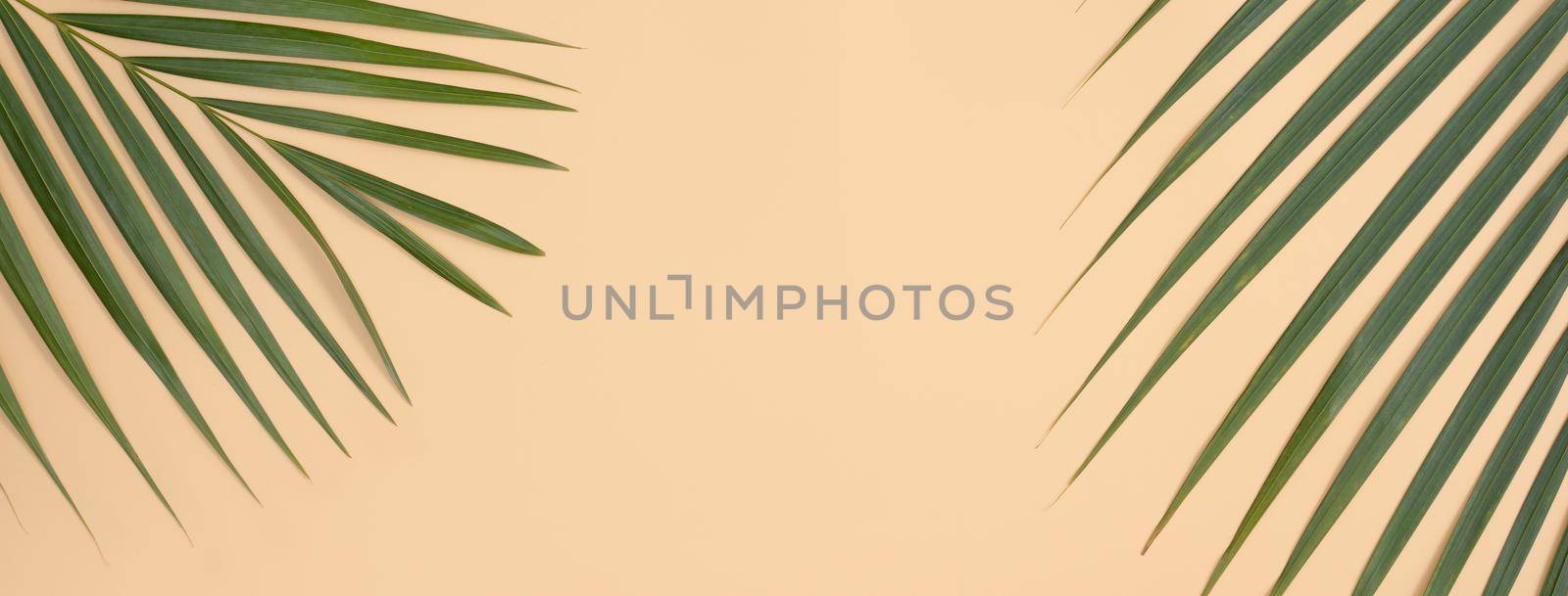 Tropical palm leaves isolated on bright orange background. by ROMIXIMAGE