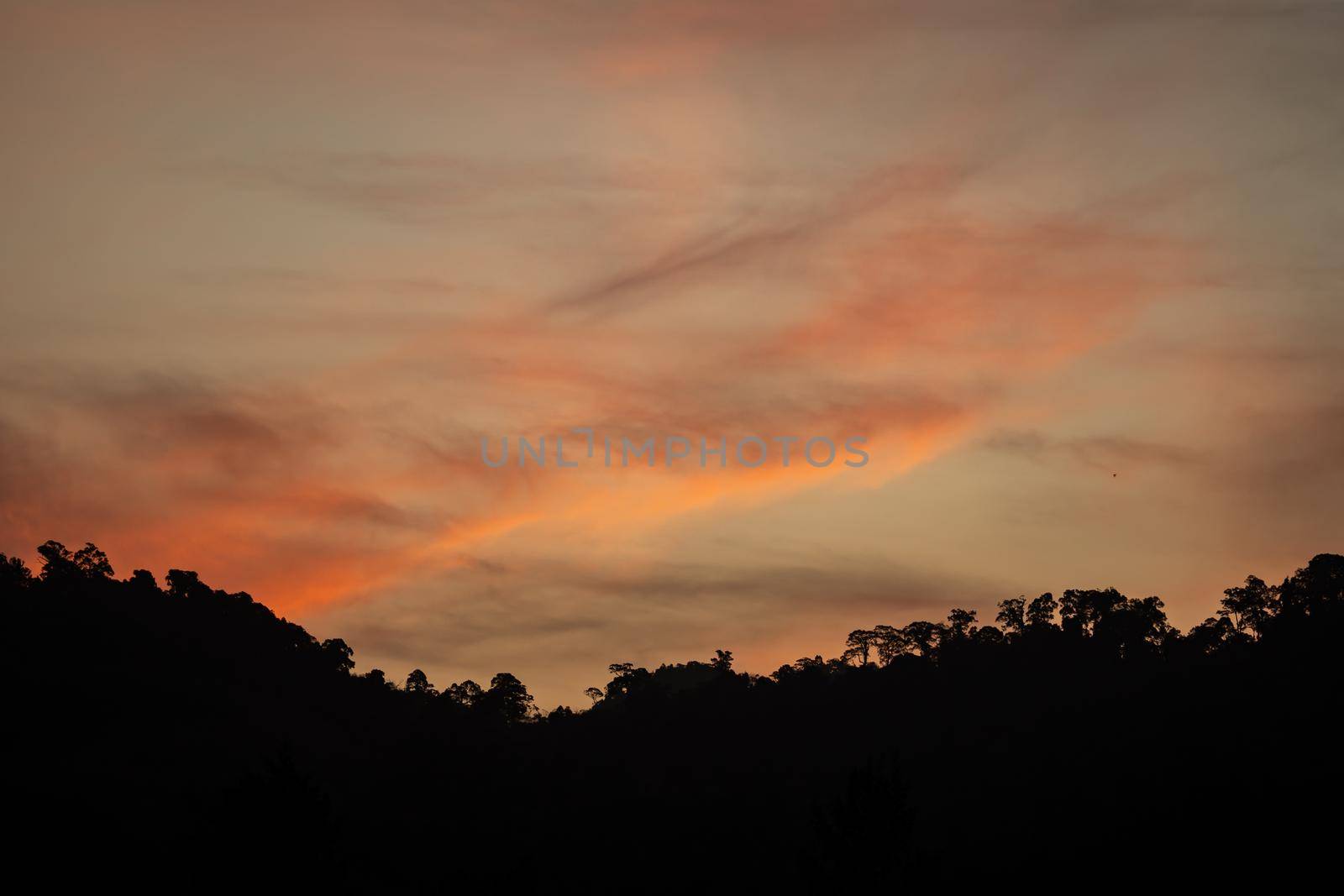 Beautiful sunset tropical with tree and vanilla sky.