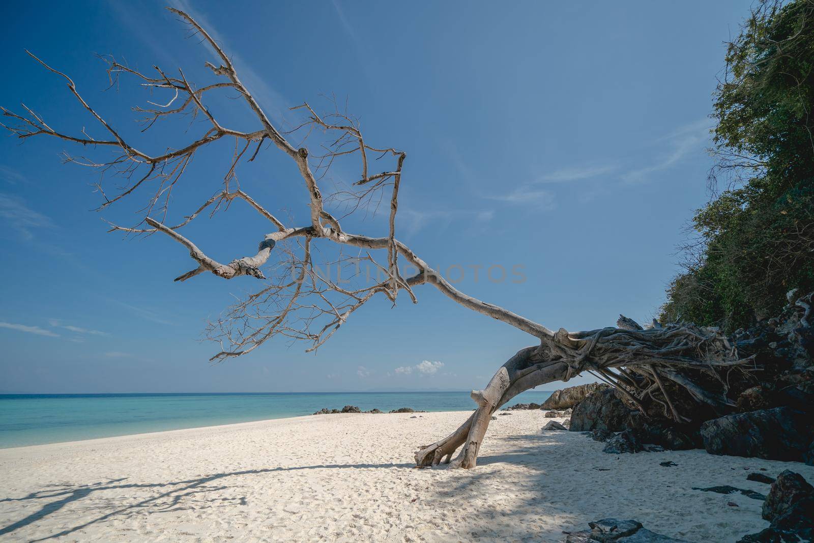 The beautiful white sand beach with clear blue sea of Bamboo Island or Koh Mai Pai. Phi Phi Island National Park, Krabi, Andaman, Thailand.