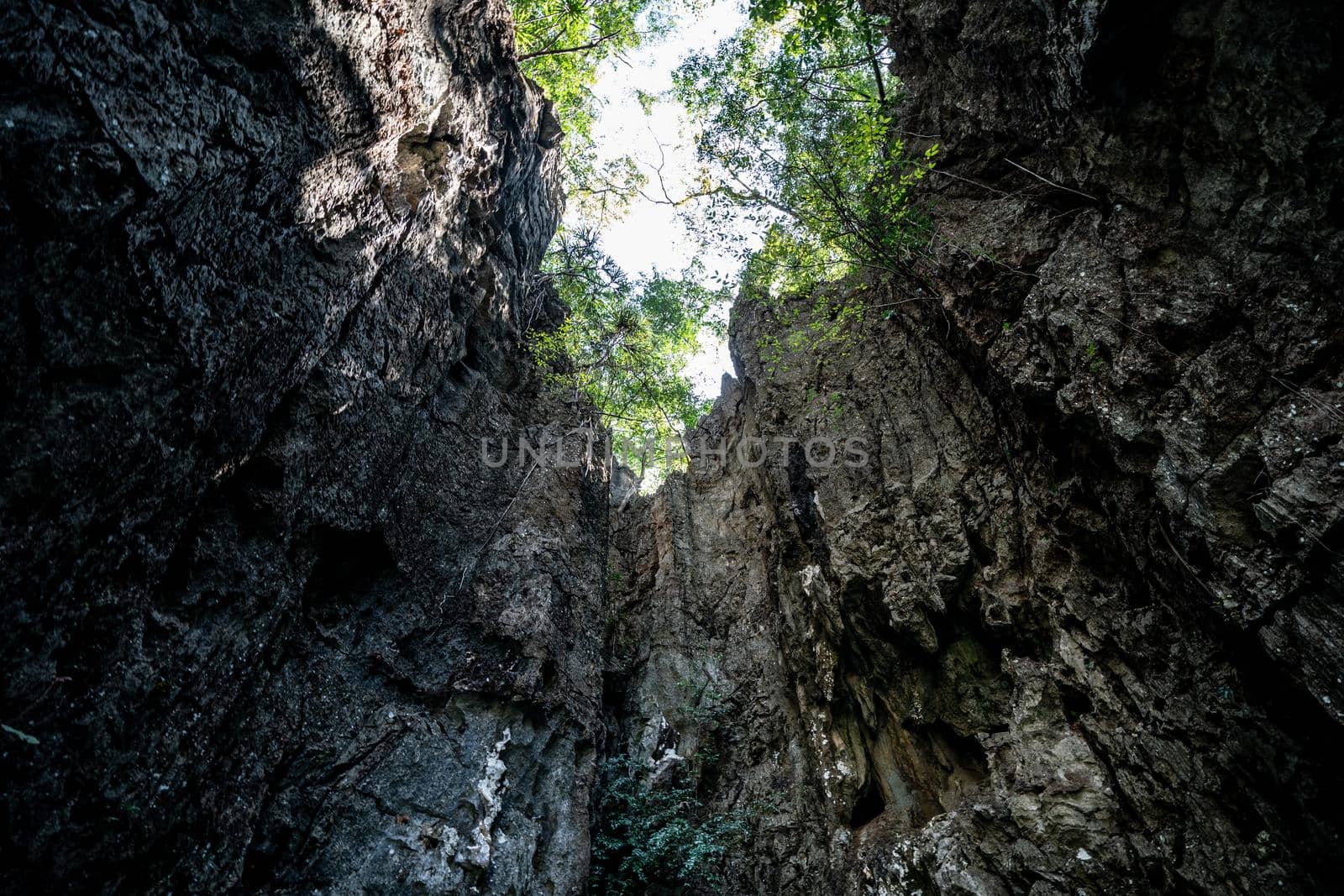 Koh Hong at Phang Nga bay, limestone island completely surrounded by cliff wall look like a huge hall.