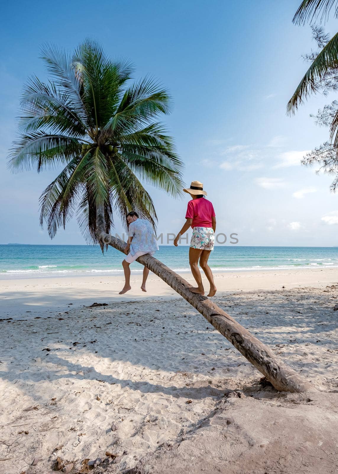 couple on vacation in Thailand, Chumpon province , white tropical beach with palm trees, Wua Laen beach Chumphon area Thailand, palm tree hanging over the beach with couple on vacation in Thailand by fokkebok