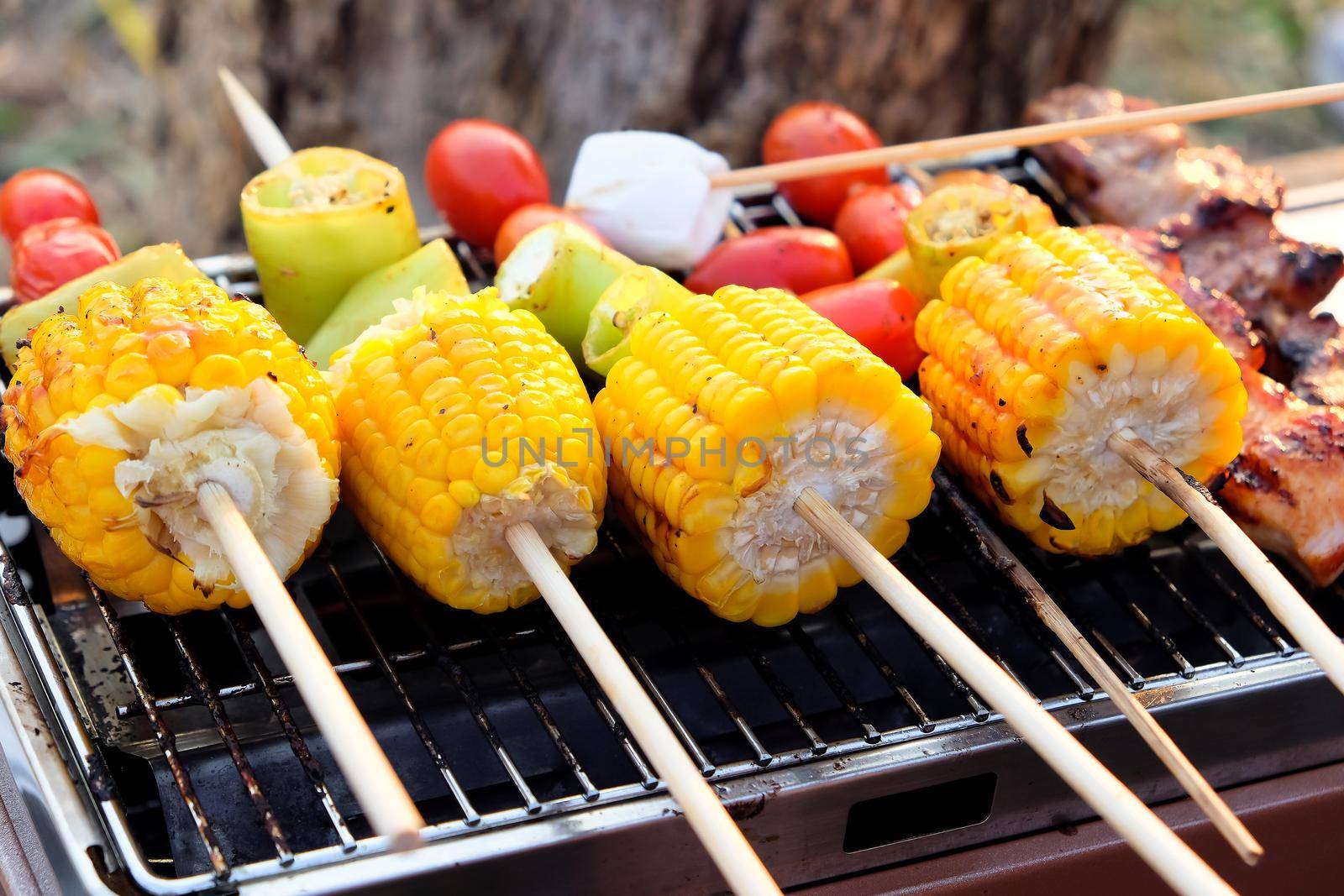 Closeup image of Grilled vegetable and chicken skewers on a hot barbecue