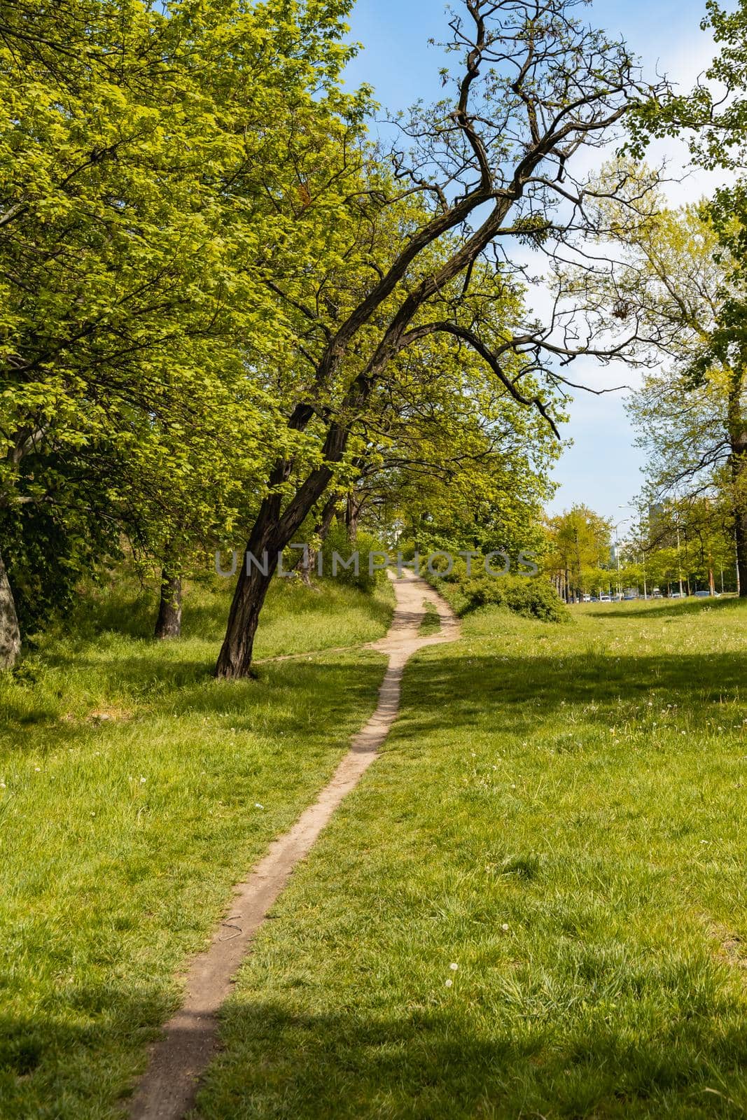 Long double path to top of small hill with bushes around