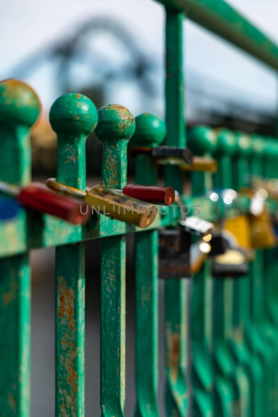 A lot of old padlocks hanging on old green fence by Wierzchu