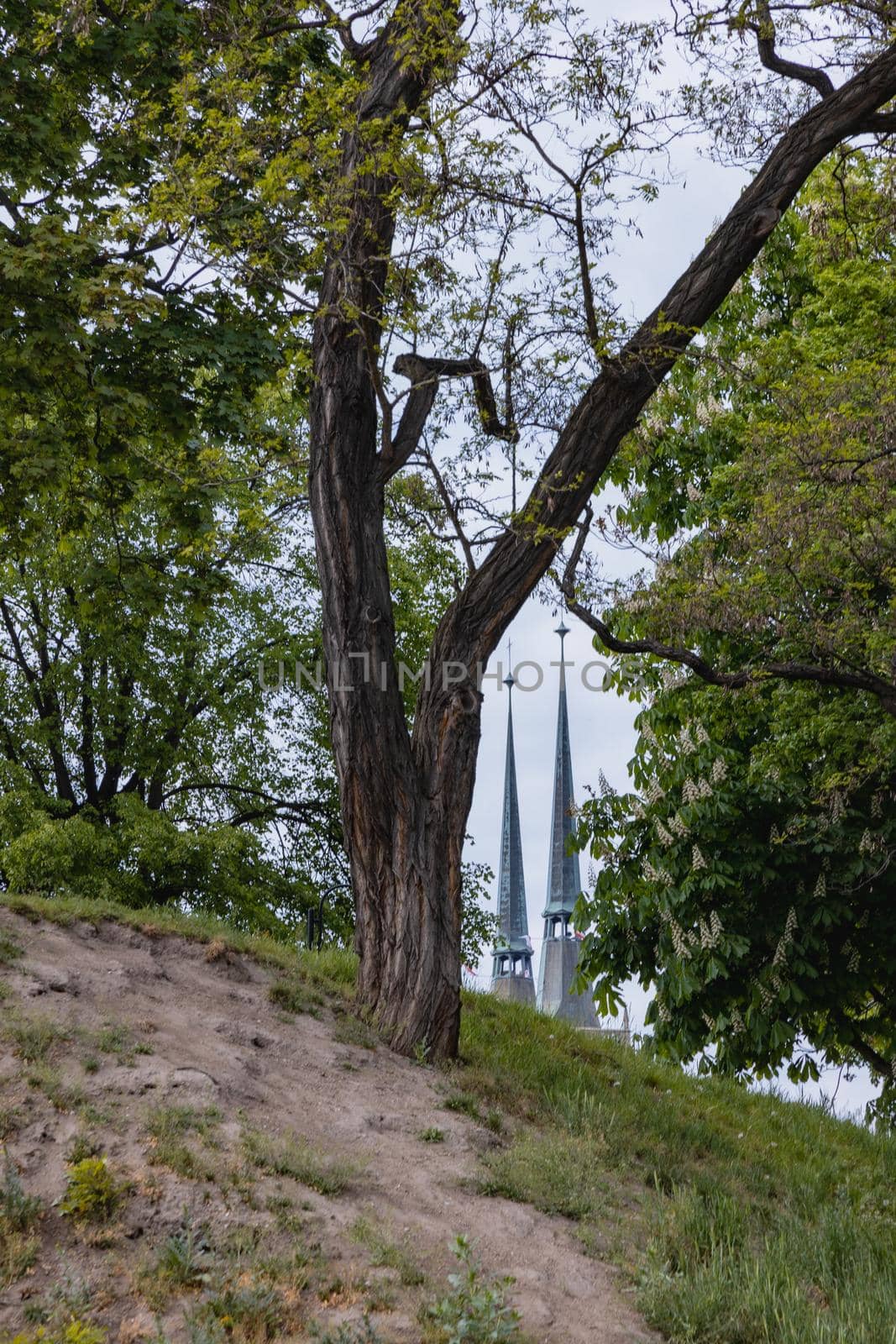 Two towers of old cathedral between trees and bushes by Wierzchu