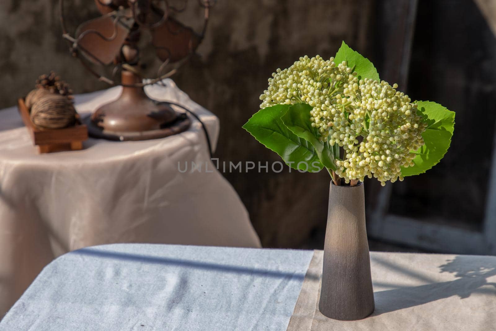 Bouquet of green flowers in ceramic vase on white textured table cloth with Old cement wall. Home decor, Selective focus.