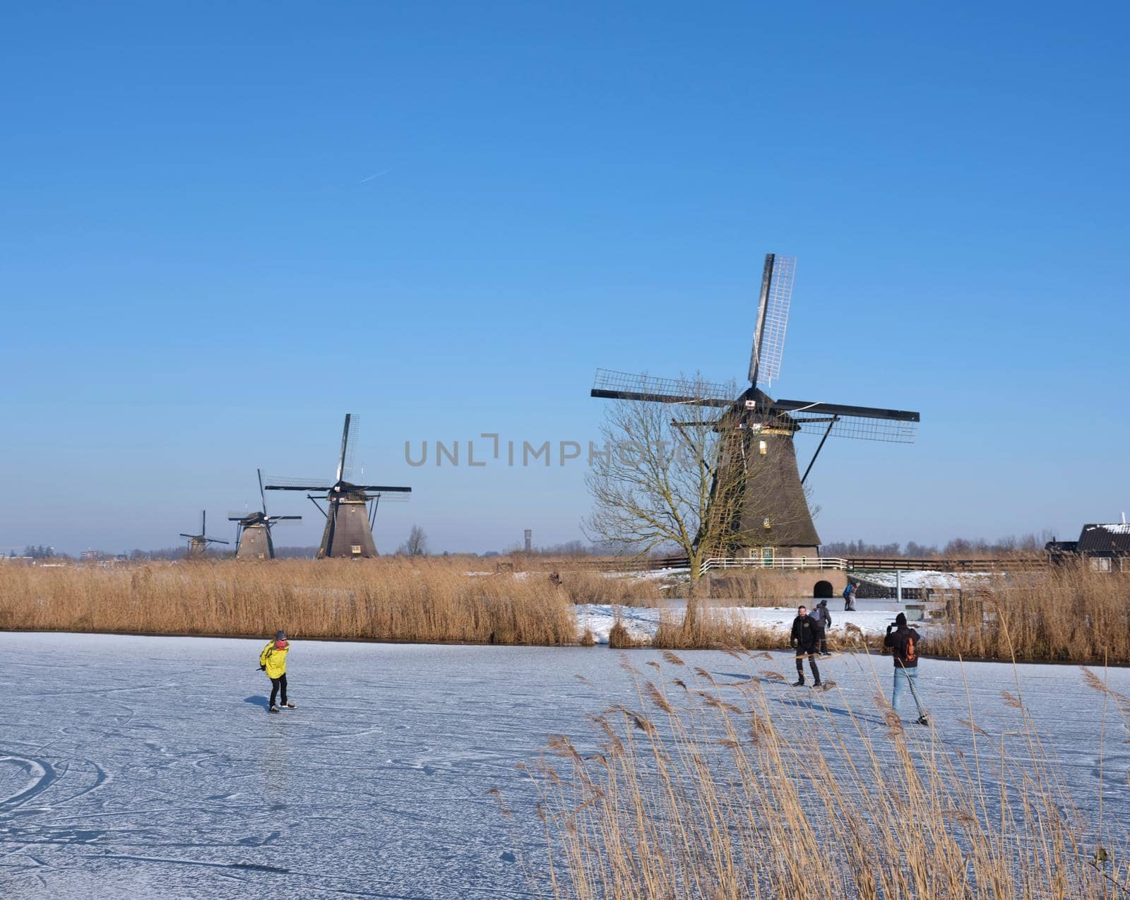 kinderdijk, netherlands, 12 february 2021: people skate on the ice near kinderdijk with al lot of windmills in holland on sunny winter day