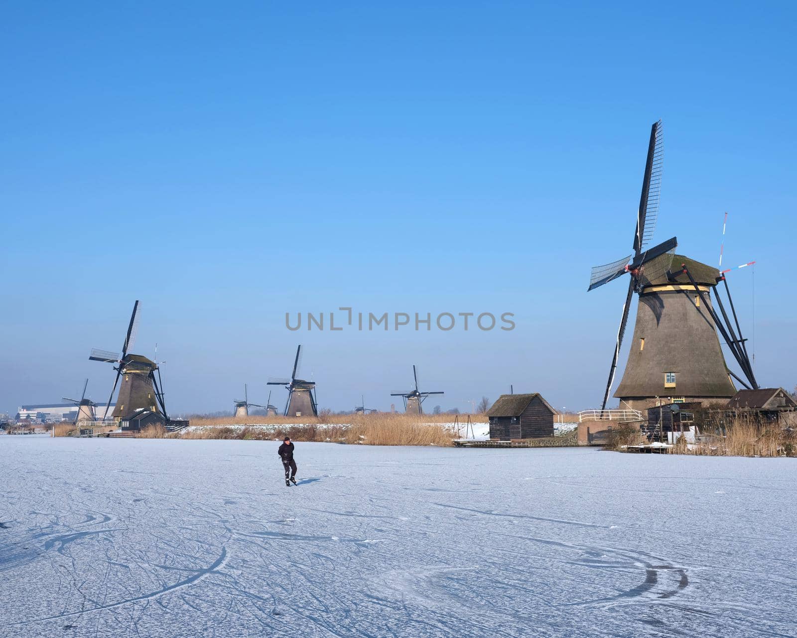 kinderdijk, netherlands, 12 february 2021: man skates on the ice near kinderdijk windmills in holland on sunny winter day