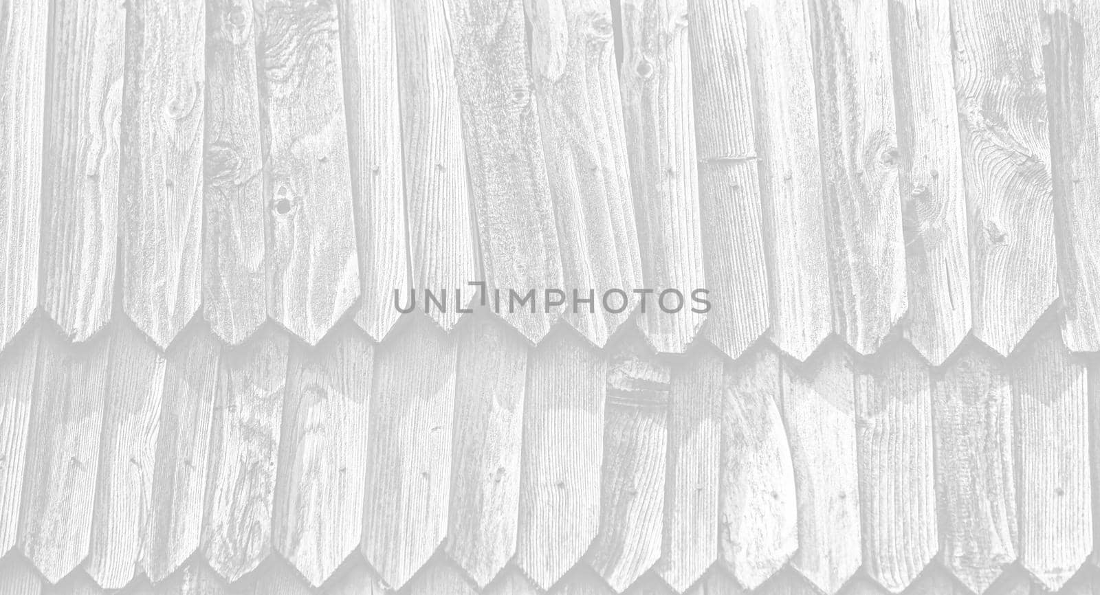 Fragment of the wall of an old rural house made of wooden planks. Background texture of old wooden wall. Image in light gray tonality