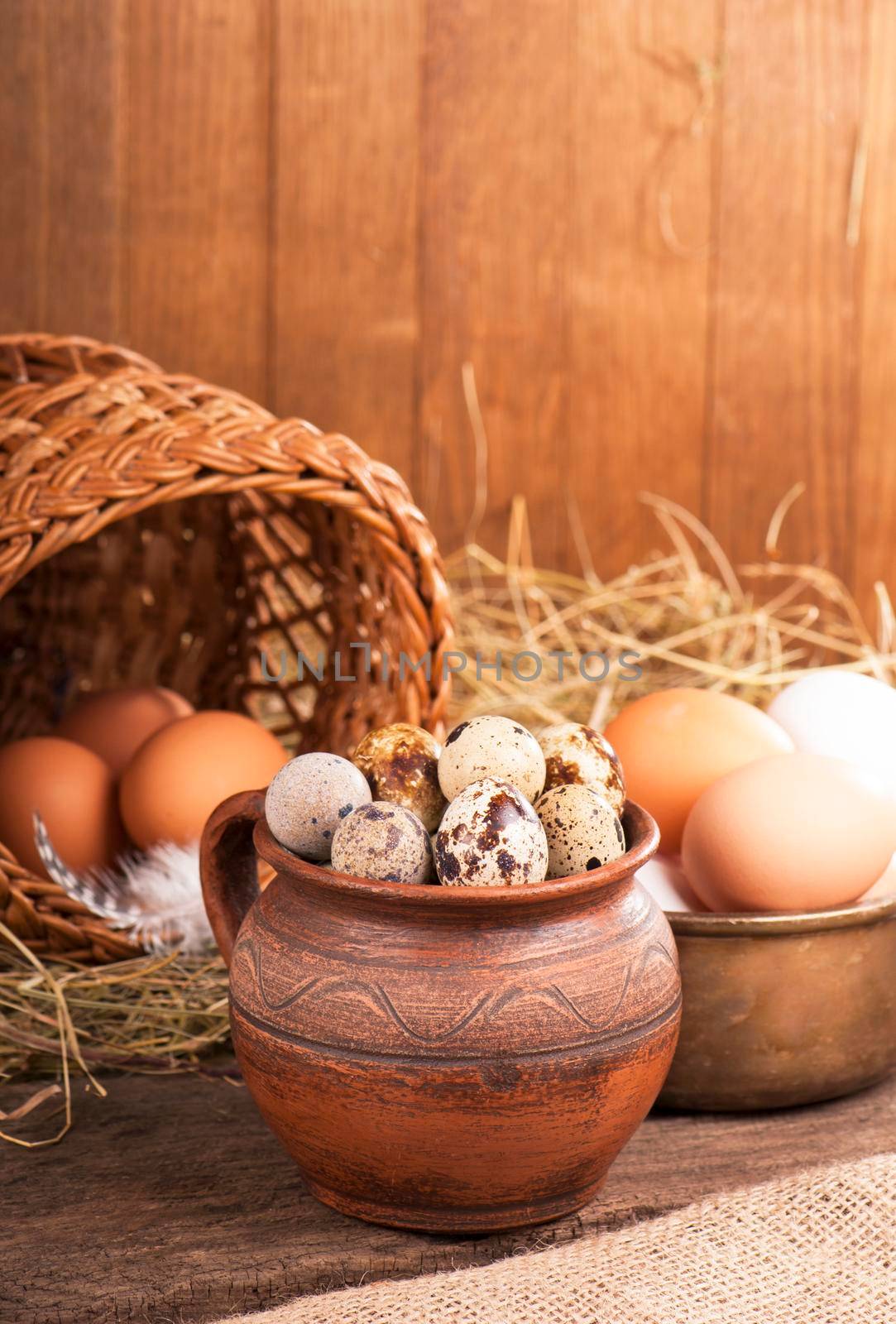 Nest with quail eggs on a canvas farm product by aprilphoto