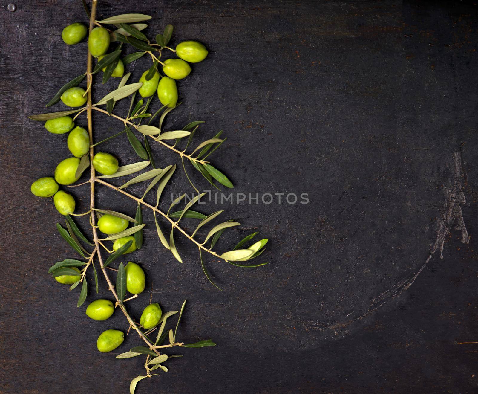 Olive oil and olive branch on the black background