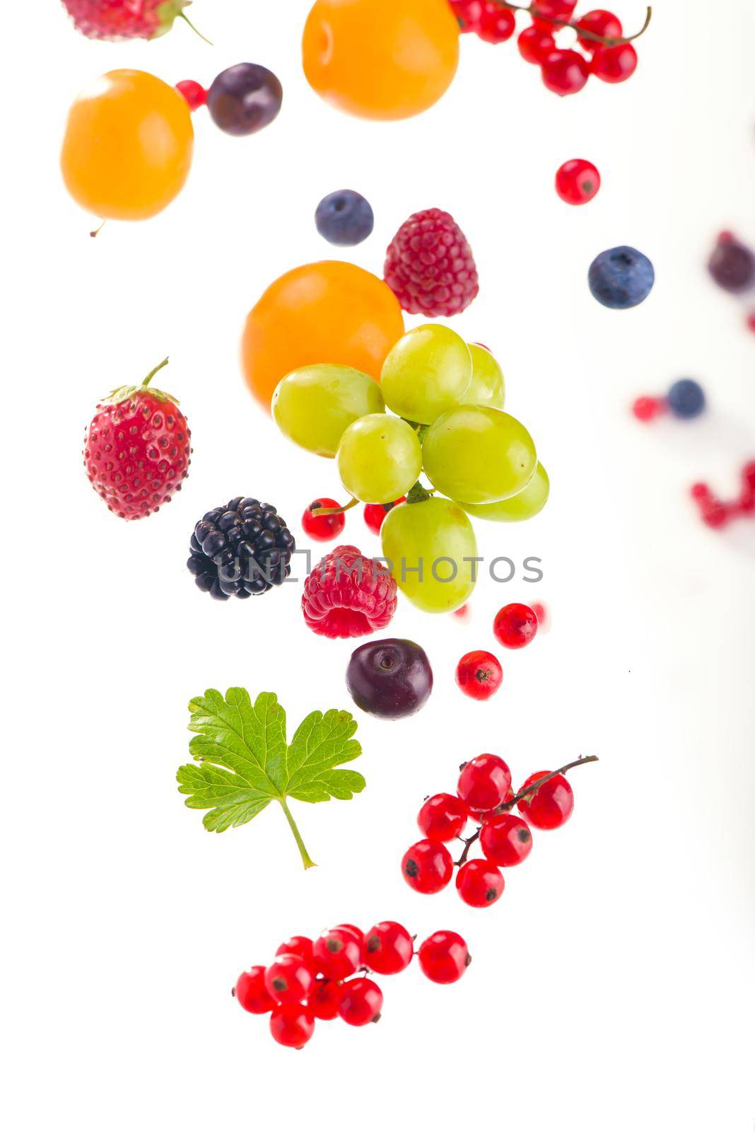 berry mix isolated on a white background by aprilphoto